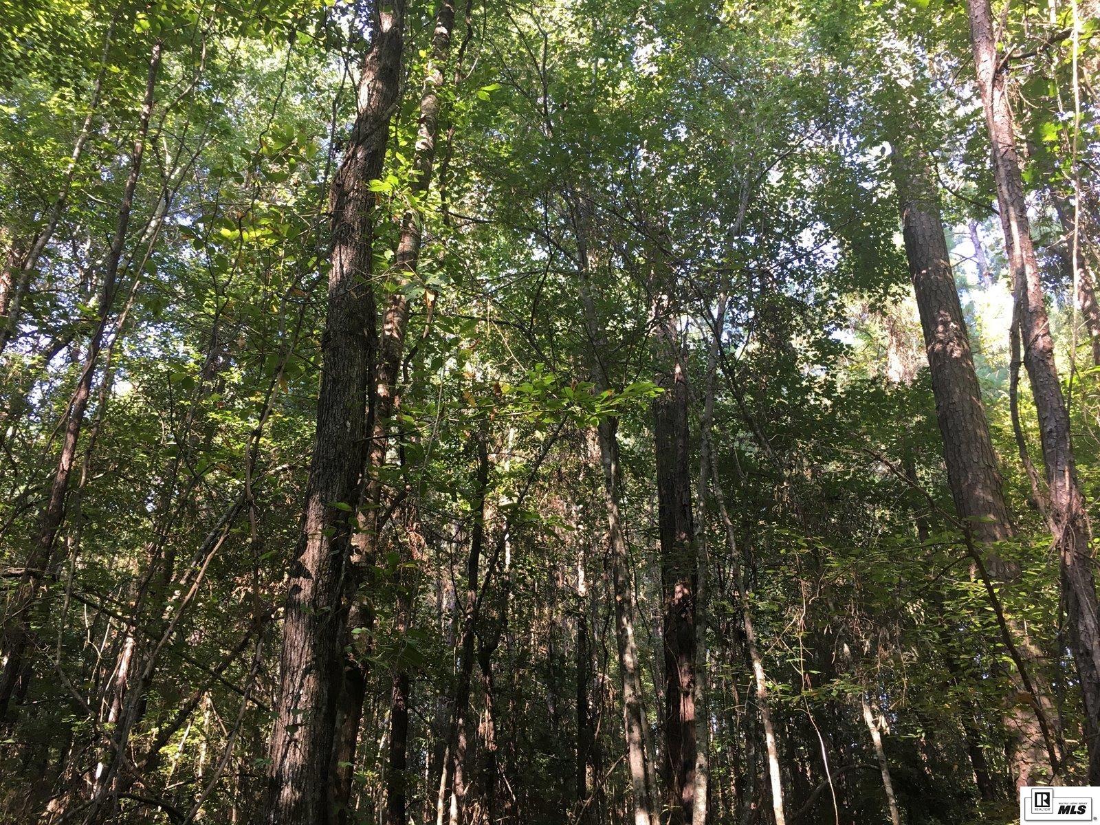 000 Highway 552 15.4 Ac+/- North Of Hwy