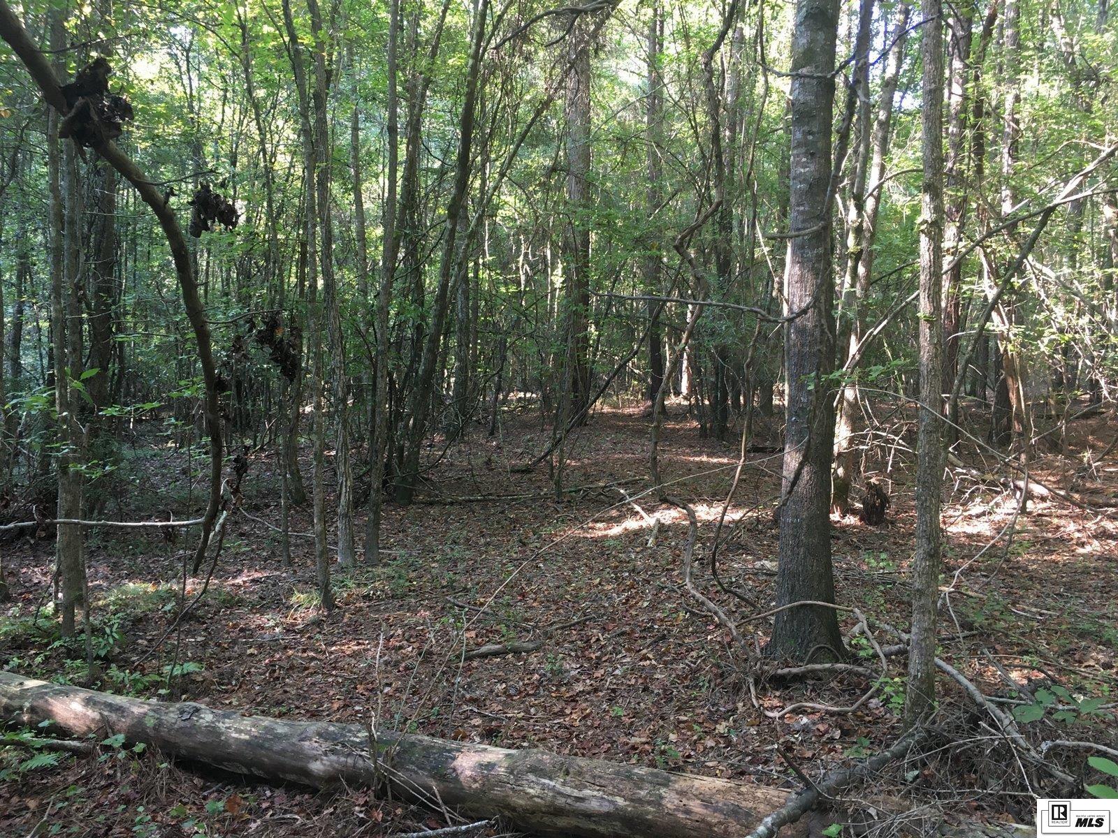 000 Highway 552 15.4 Ac+/- North Of Hwy