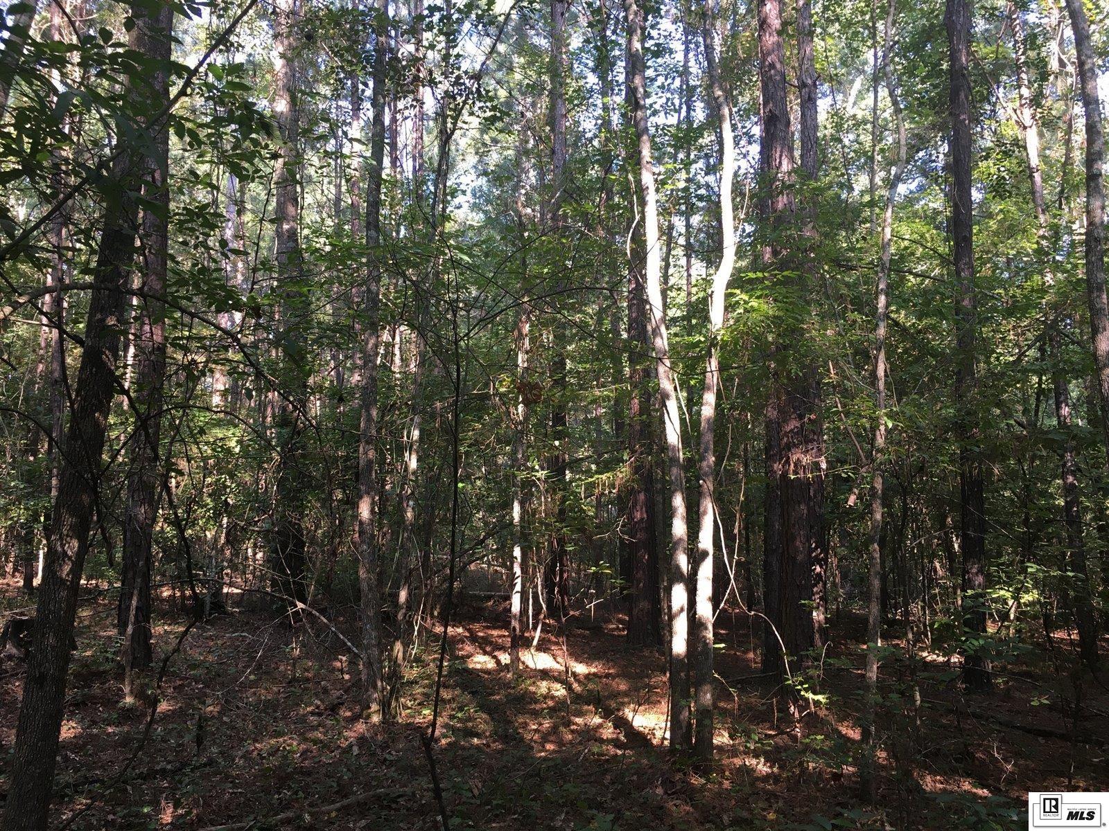 000 Highway 552 15.4 Ac+/- North Of Hwy