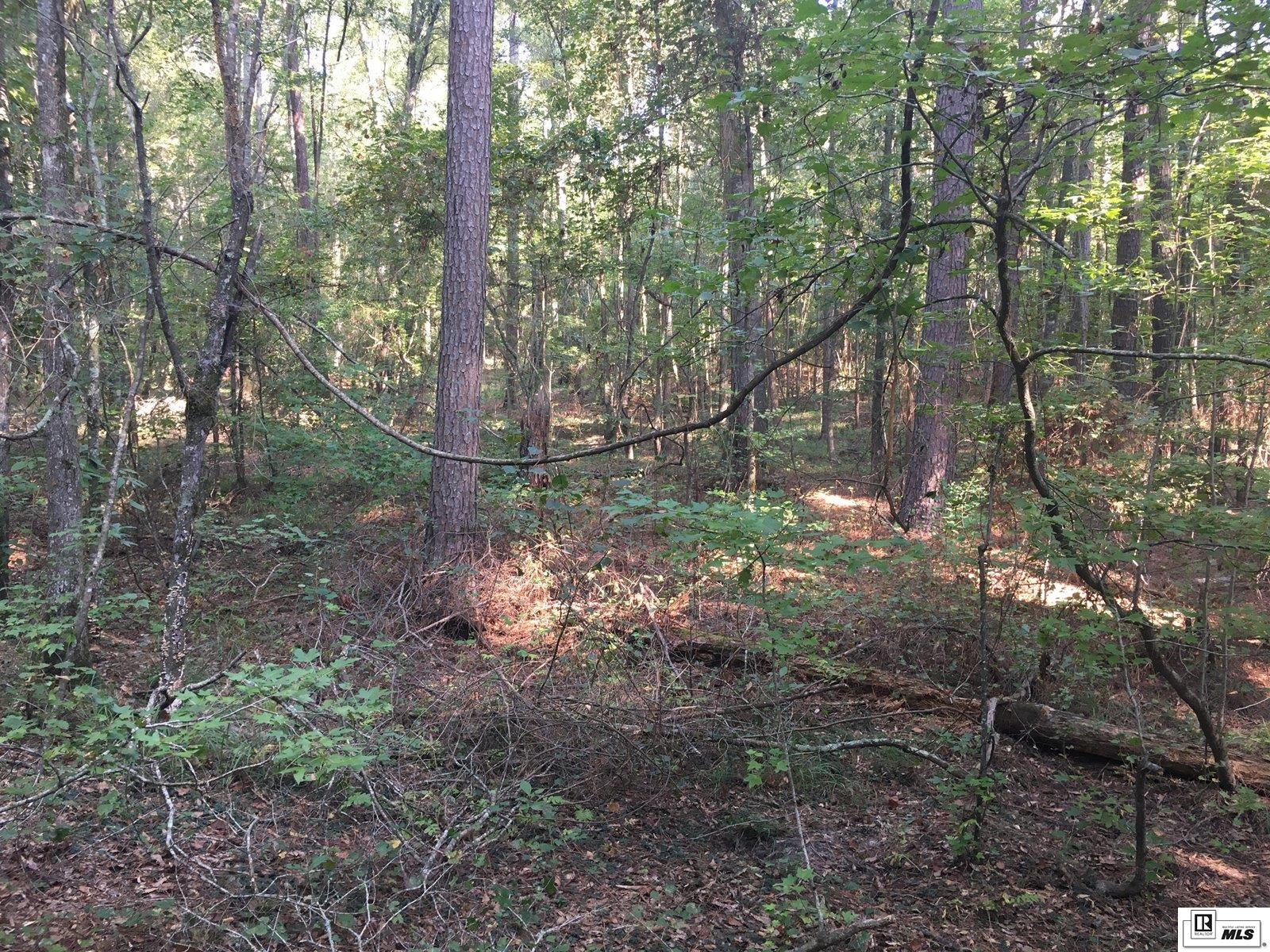 000 Highway 552 15.4 Ac+/- North Of Hwy