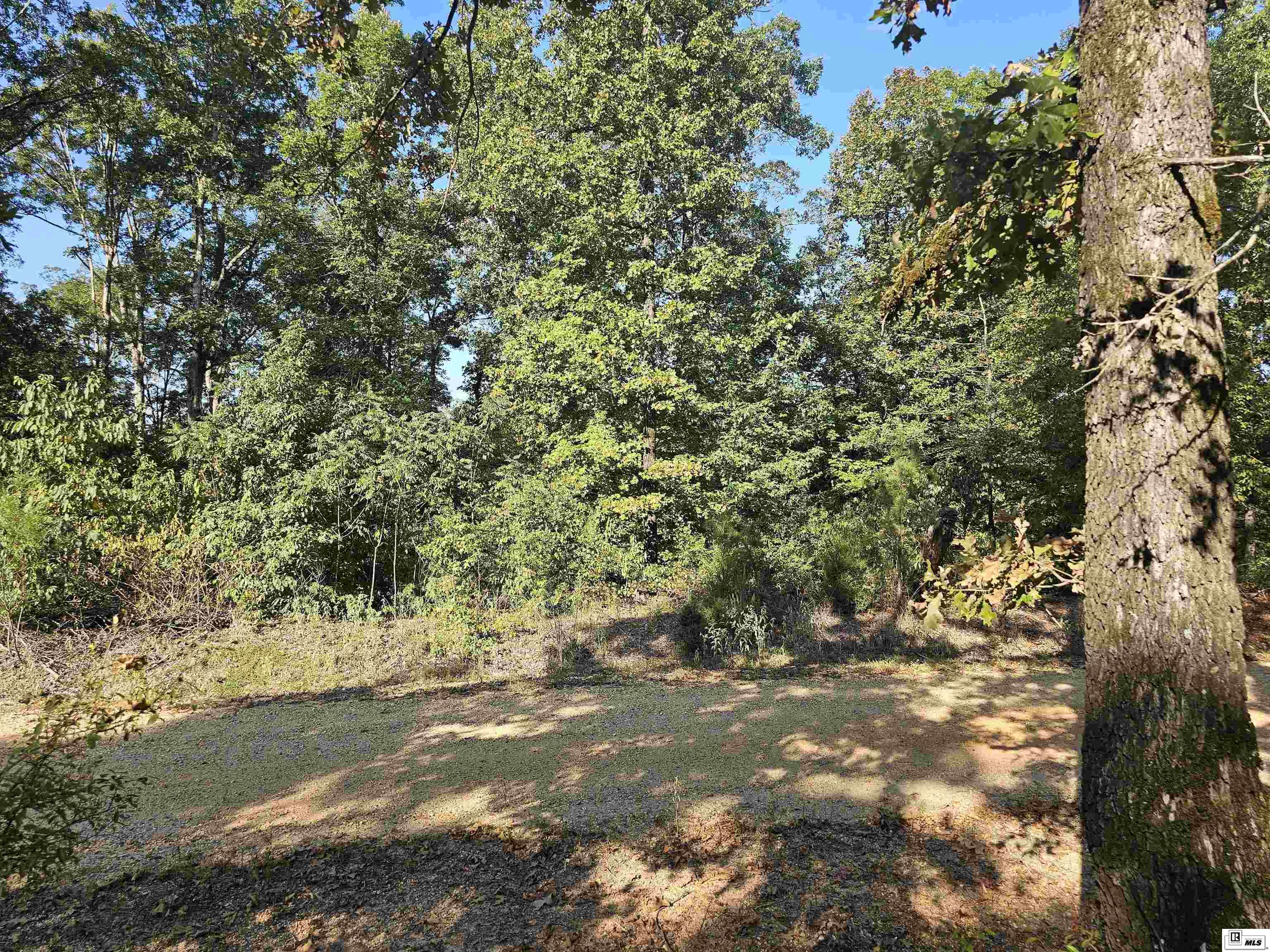 127 David Road