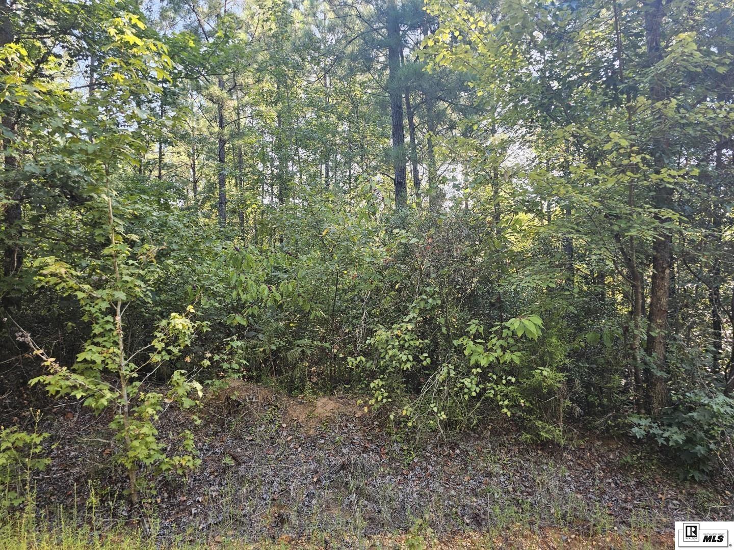 127 David Road