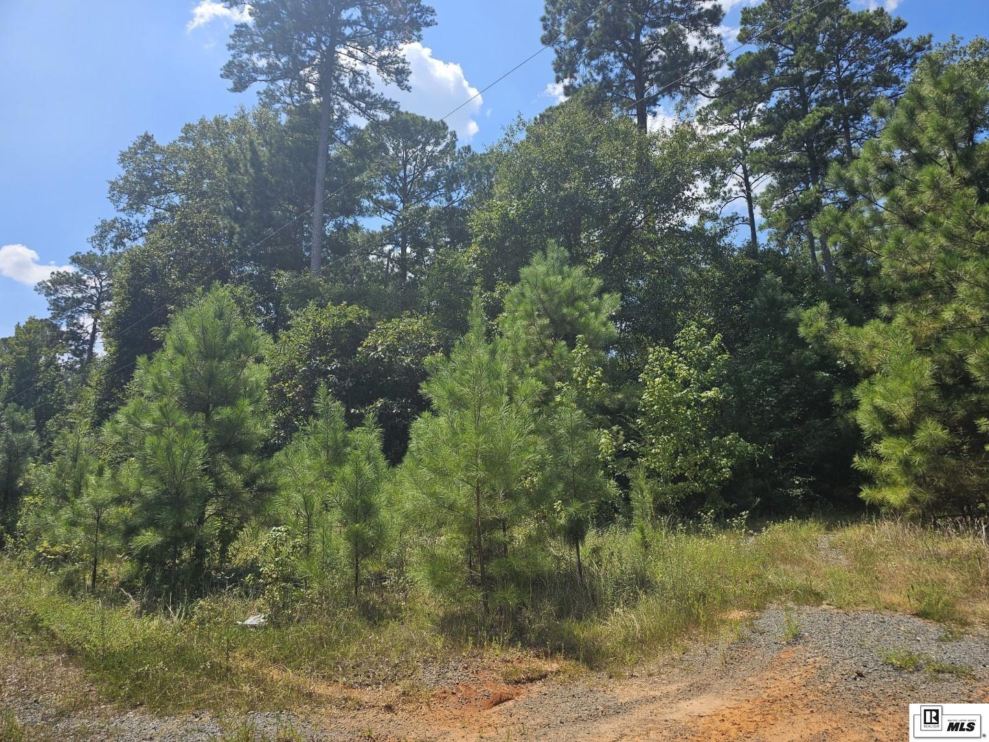 0 Tom Sturdivant Road