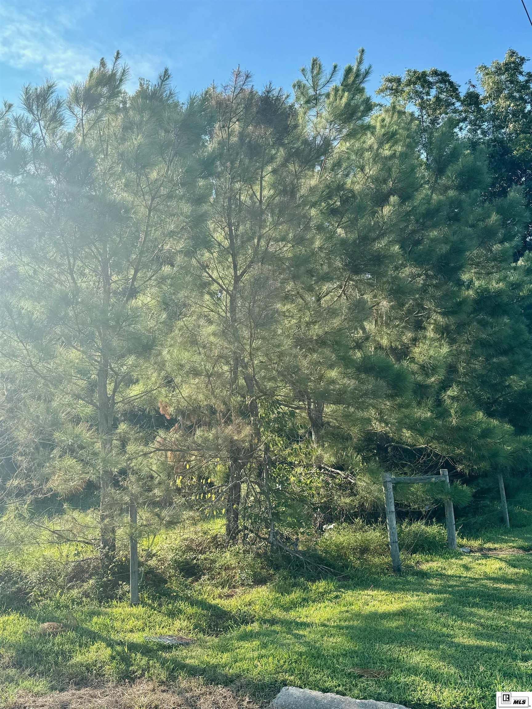 687 Porter Road