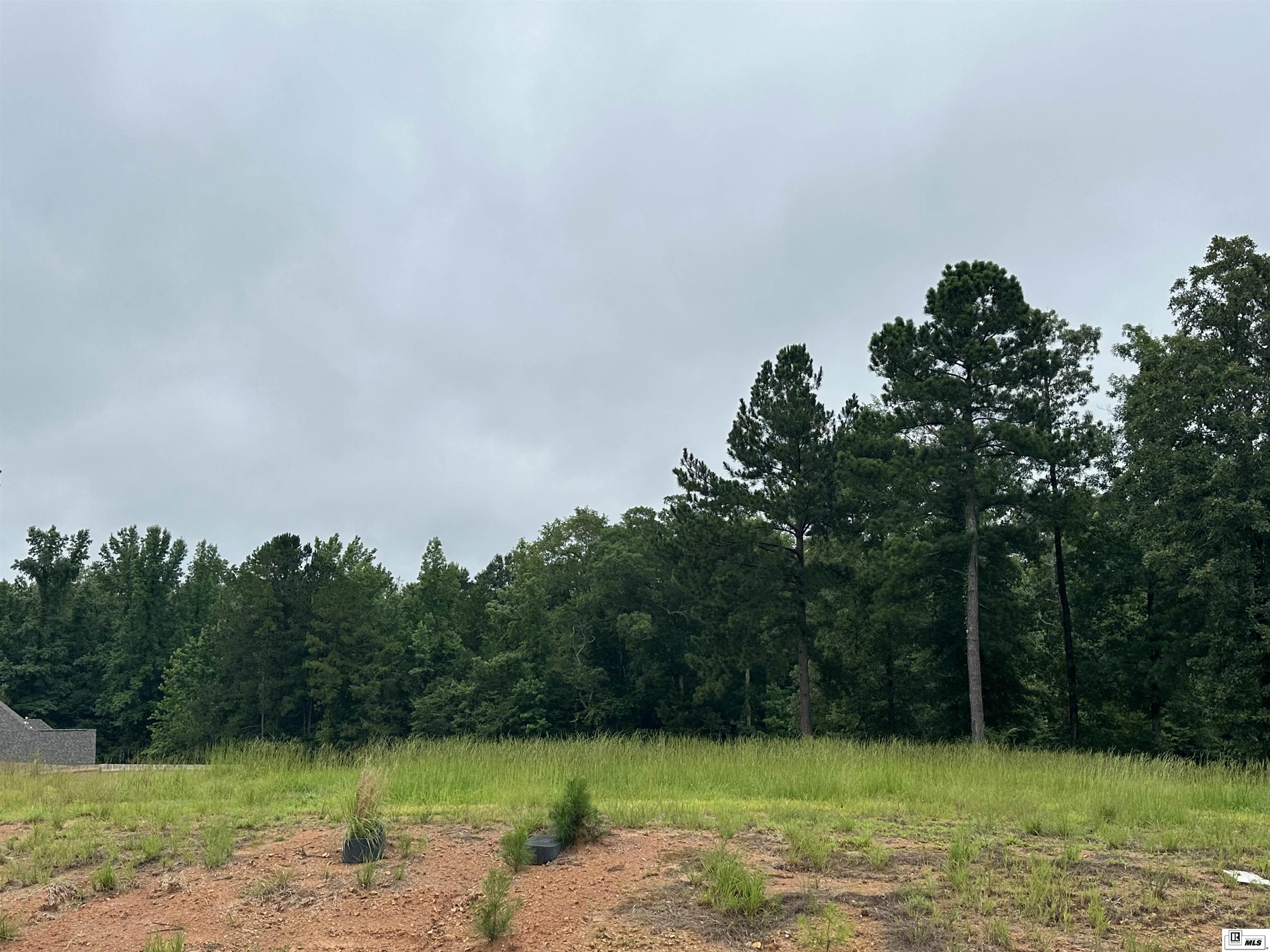 Lot 6 Couch Drive