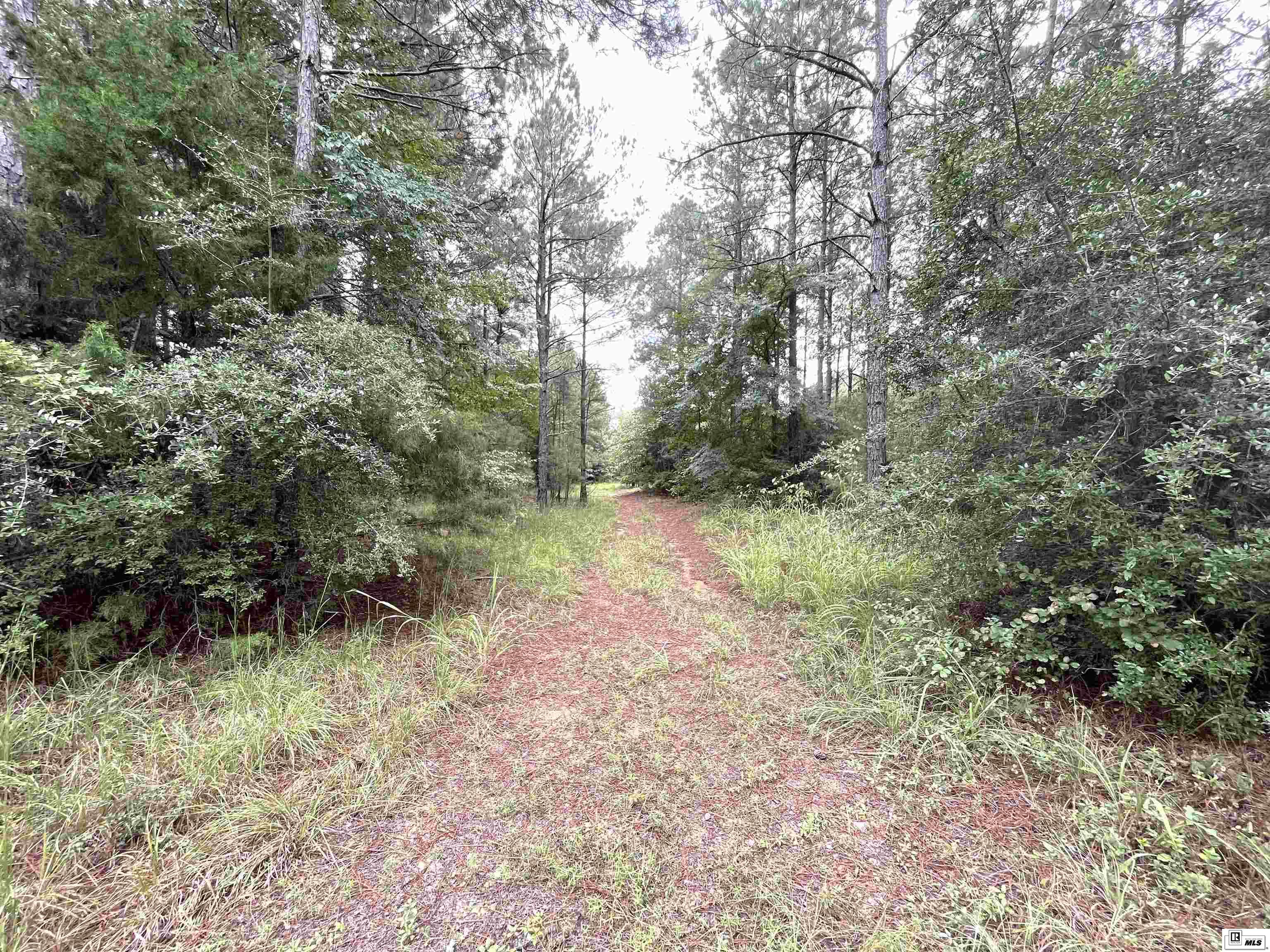 00 Dan Lenard Road
