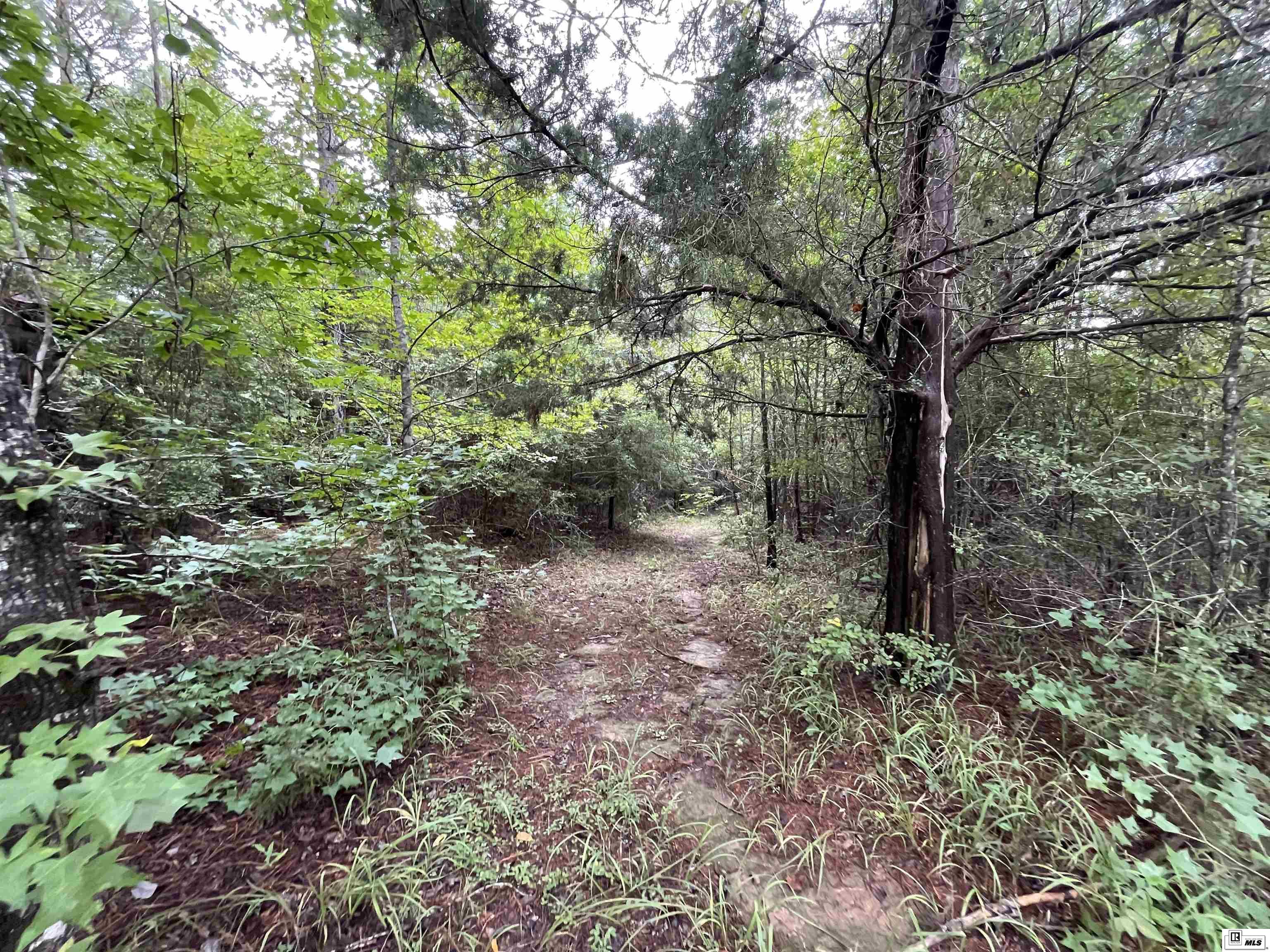 00 Dan Lenard Road