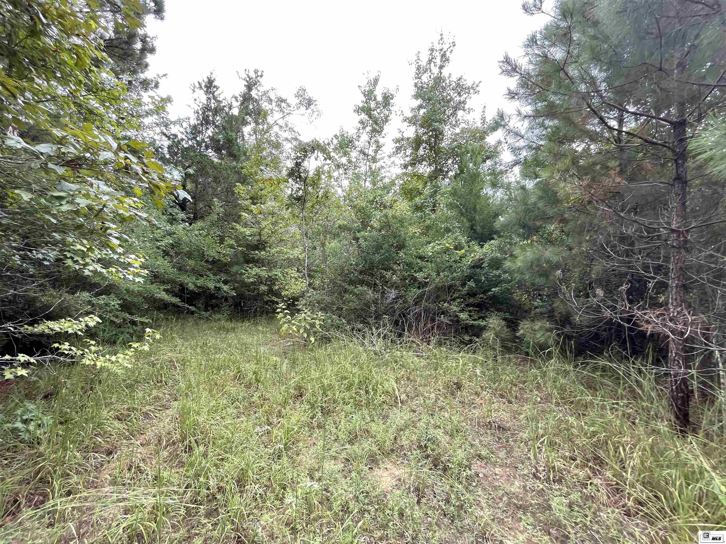 00 Dan Lenard Road