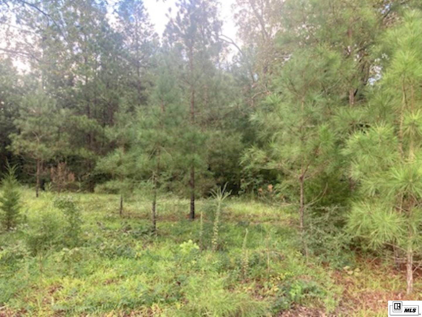 0 Hodges Lane