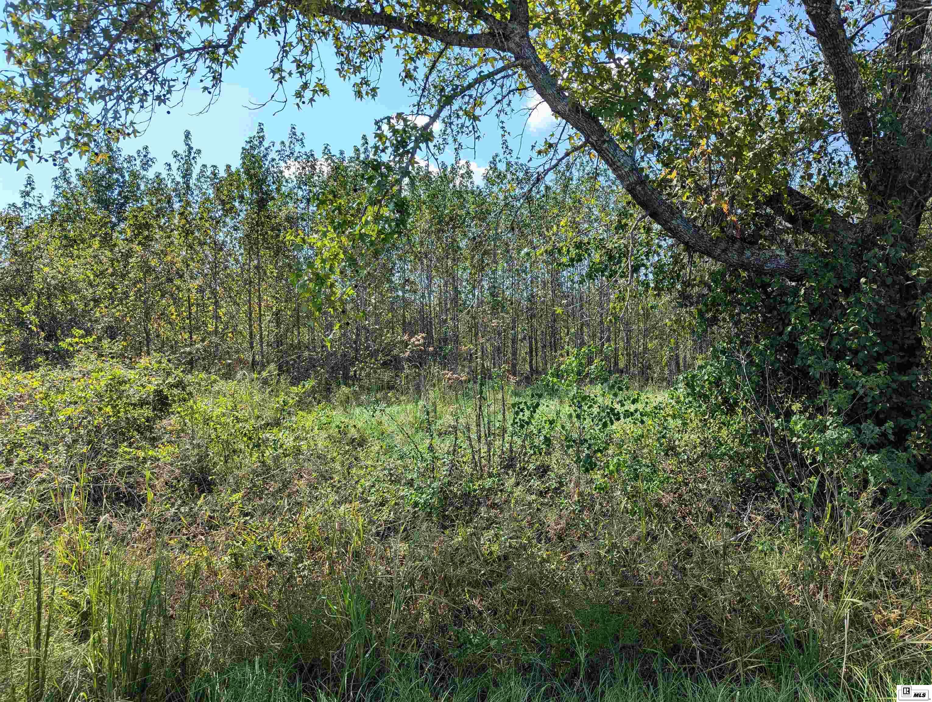 622 Lawson Road