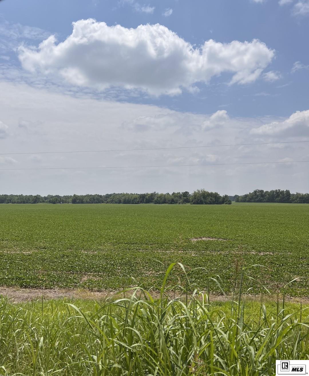 000 Levee Road