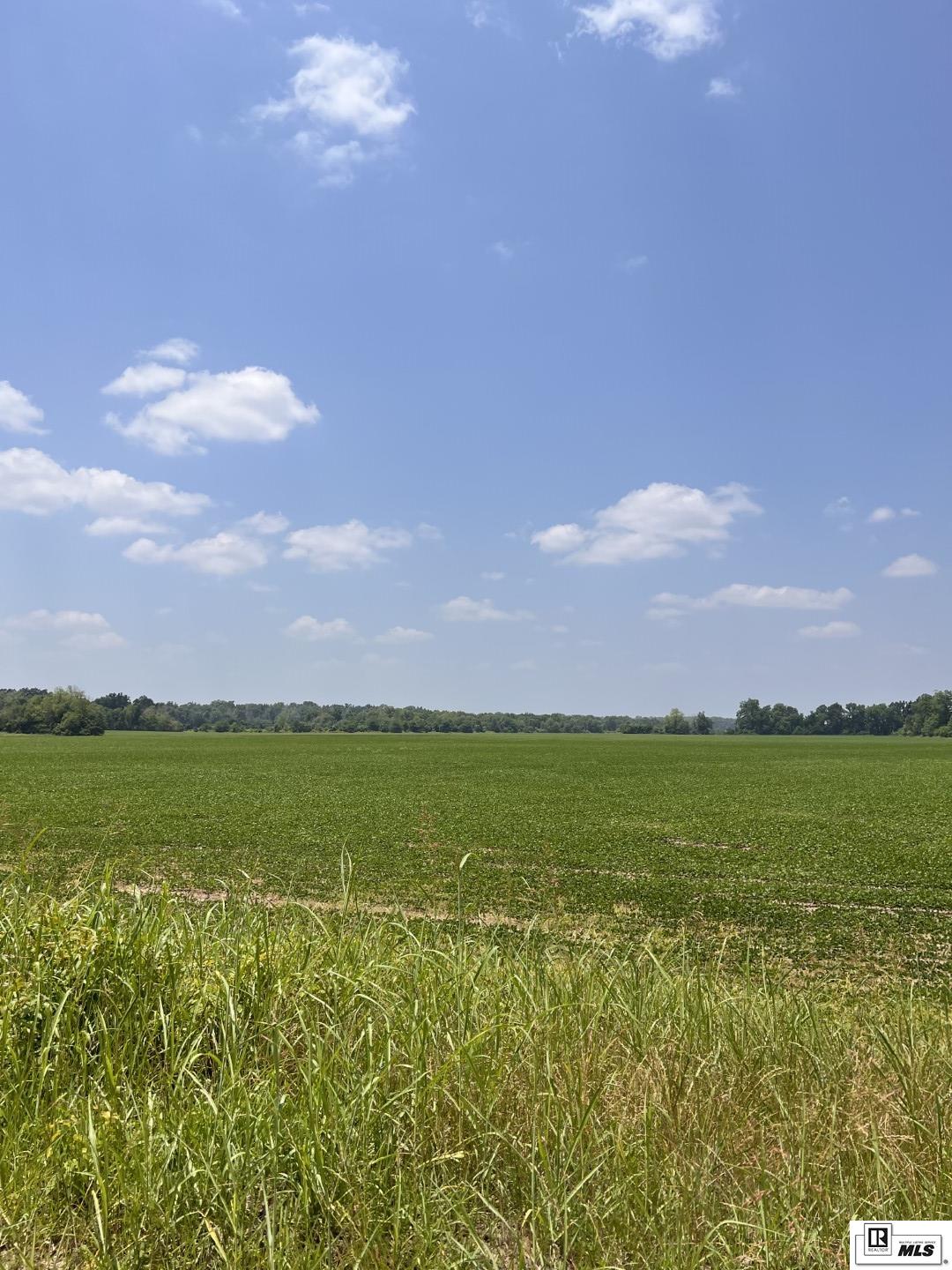 000 Levee Road