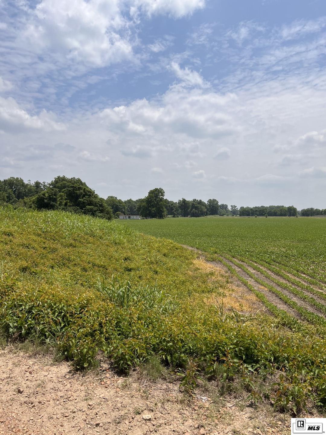 000 Levee Road