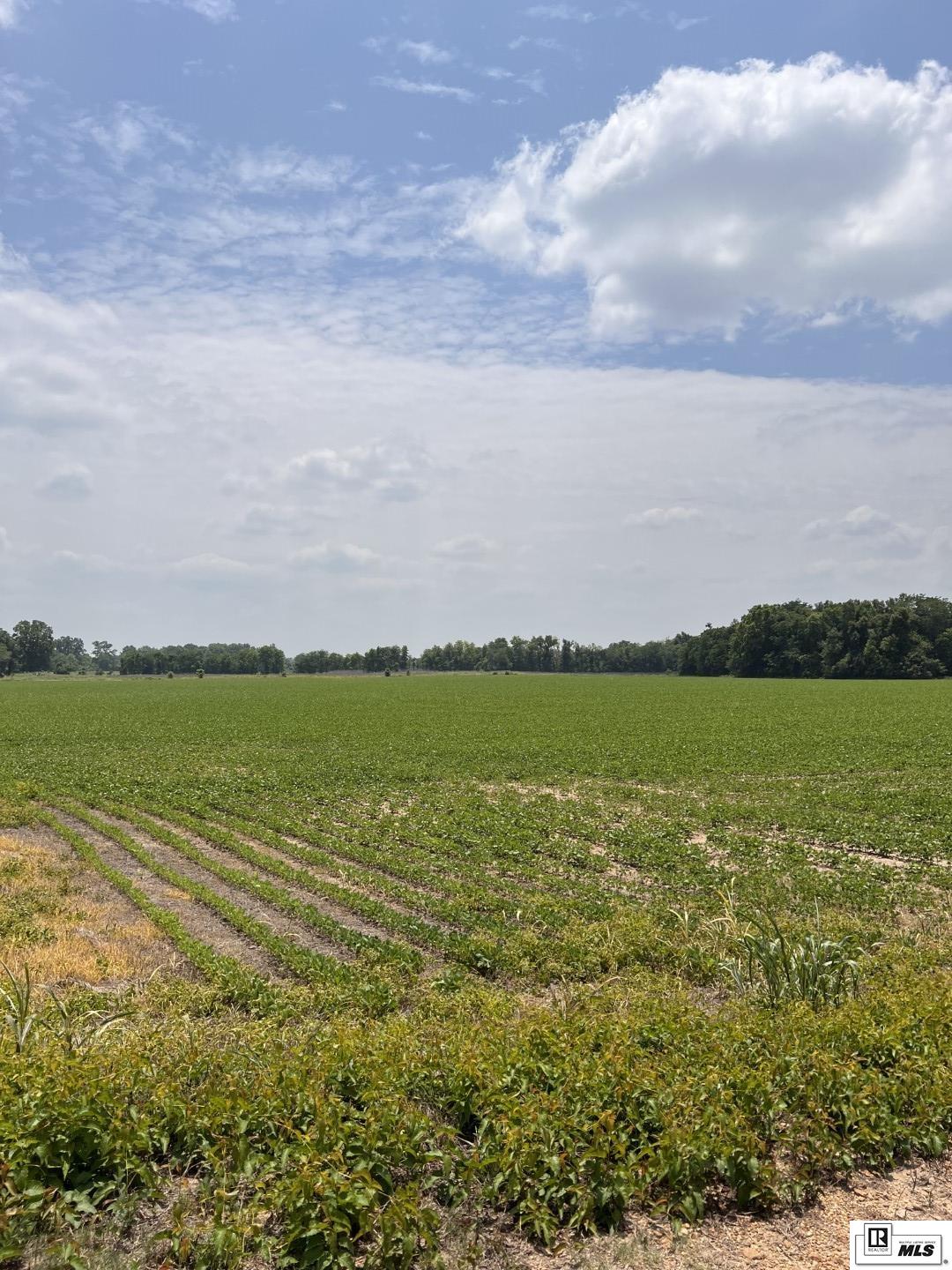 000 Levee Road