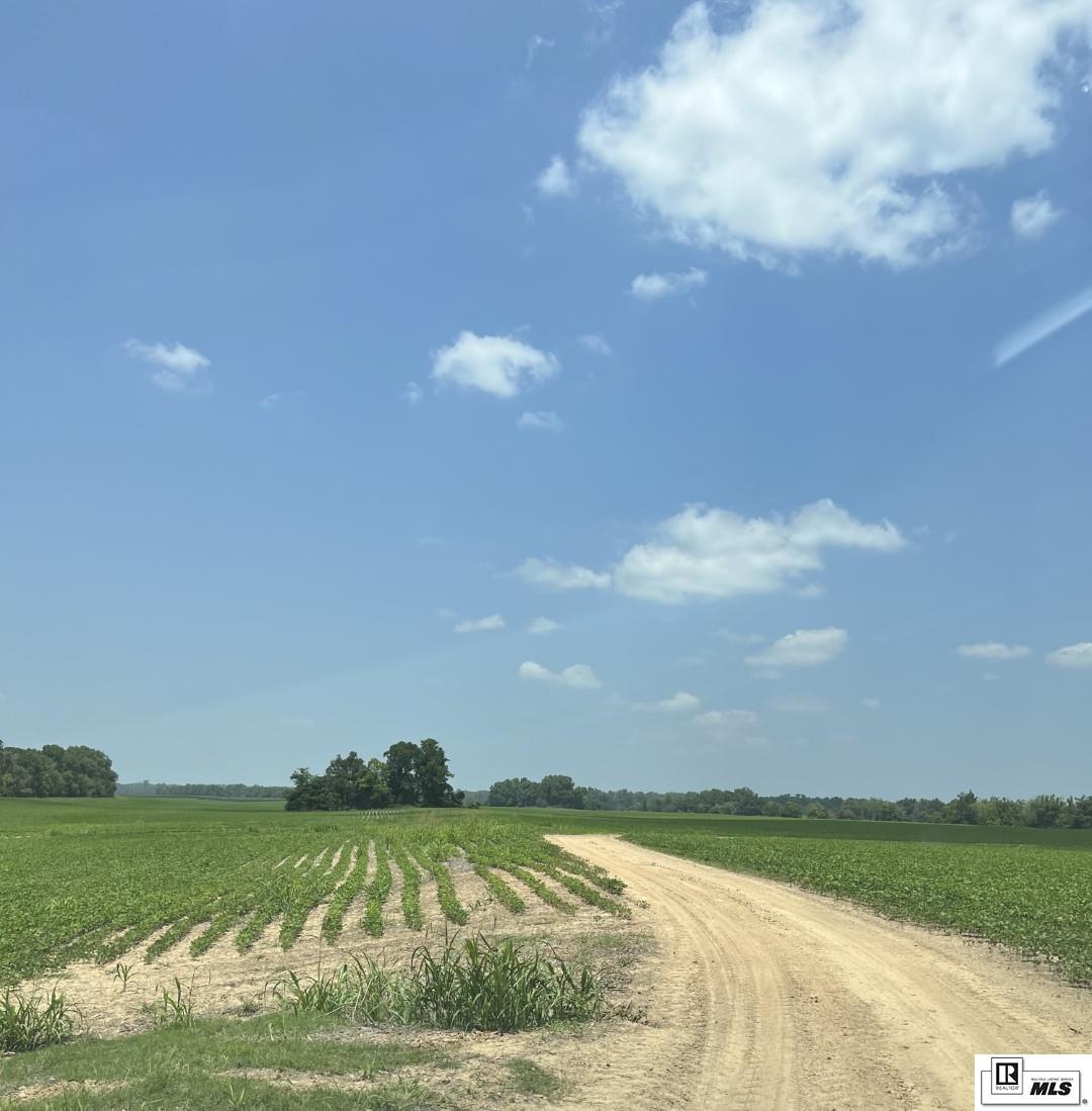 000 Levee Road