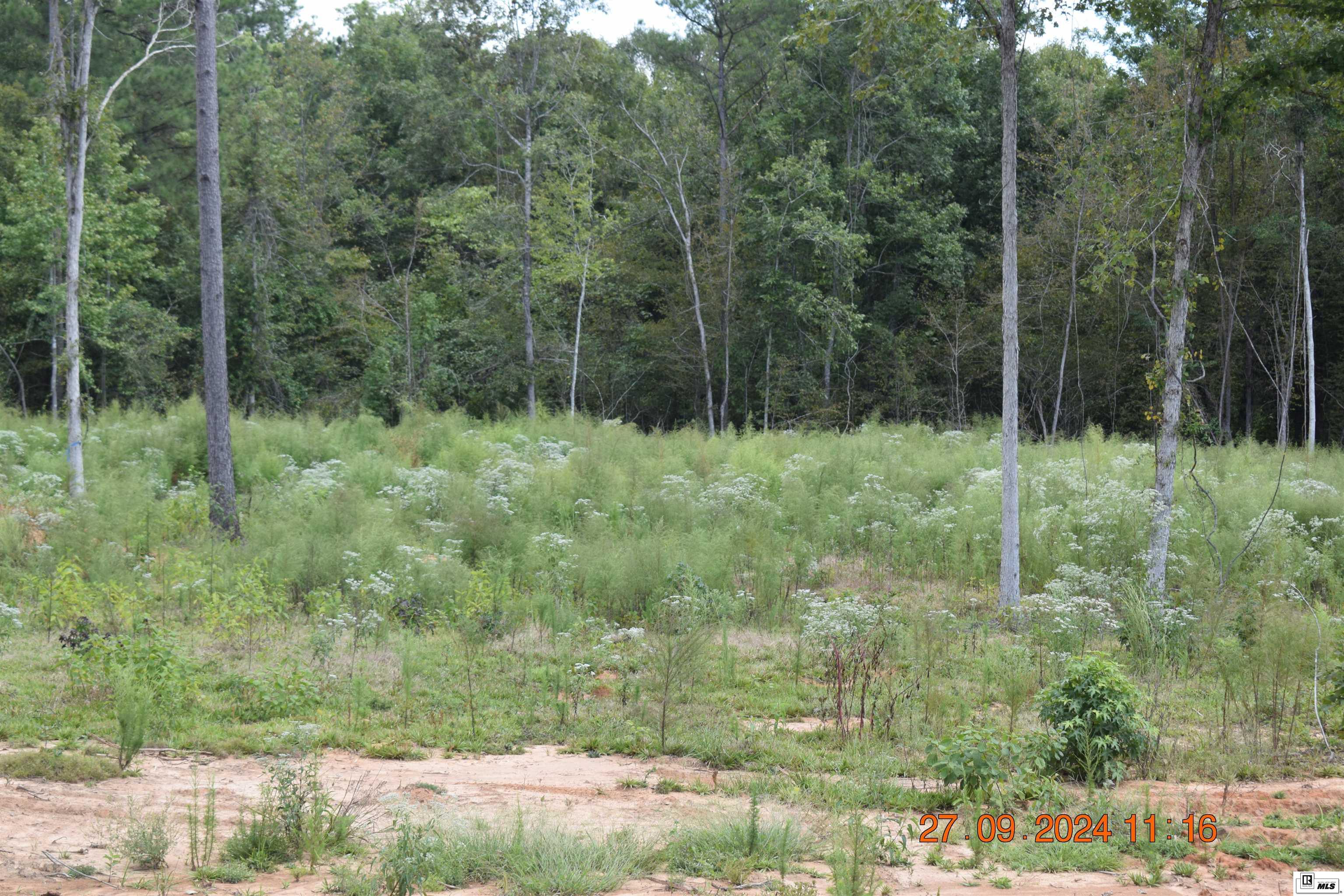 Lot C J Musgrove Road