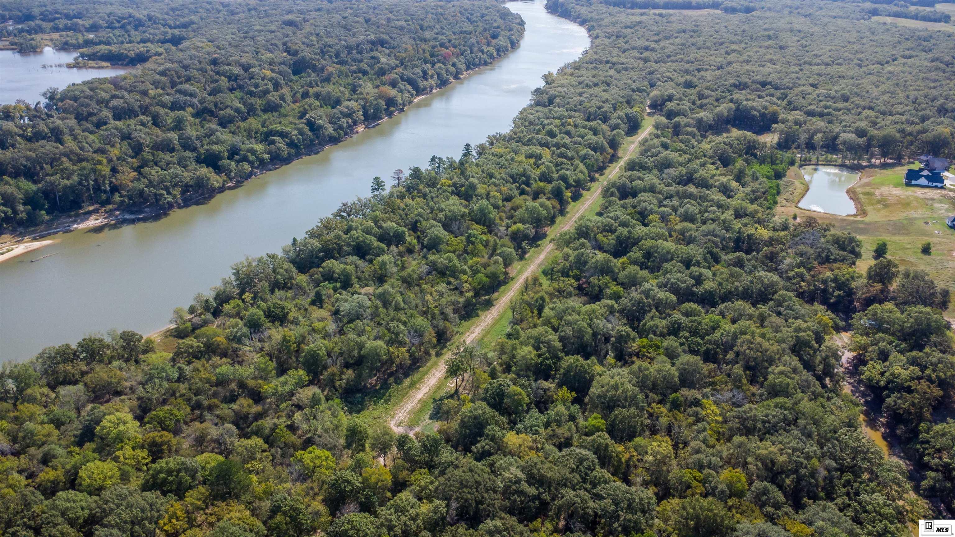 00000 Pinecrest Road 172 Acres On Ouachita River