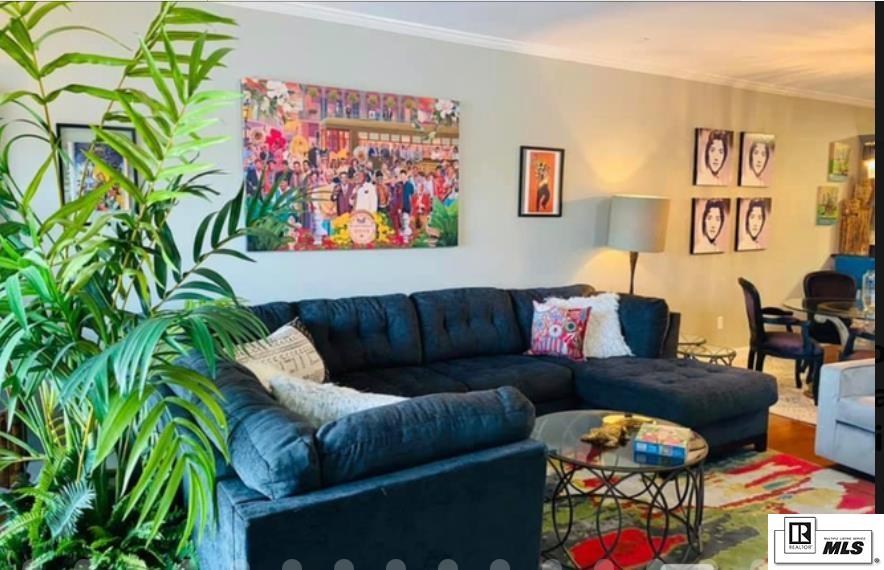 1 Natchitoches Street, Apt 203