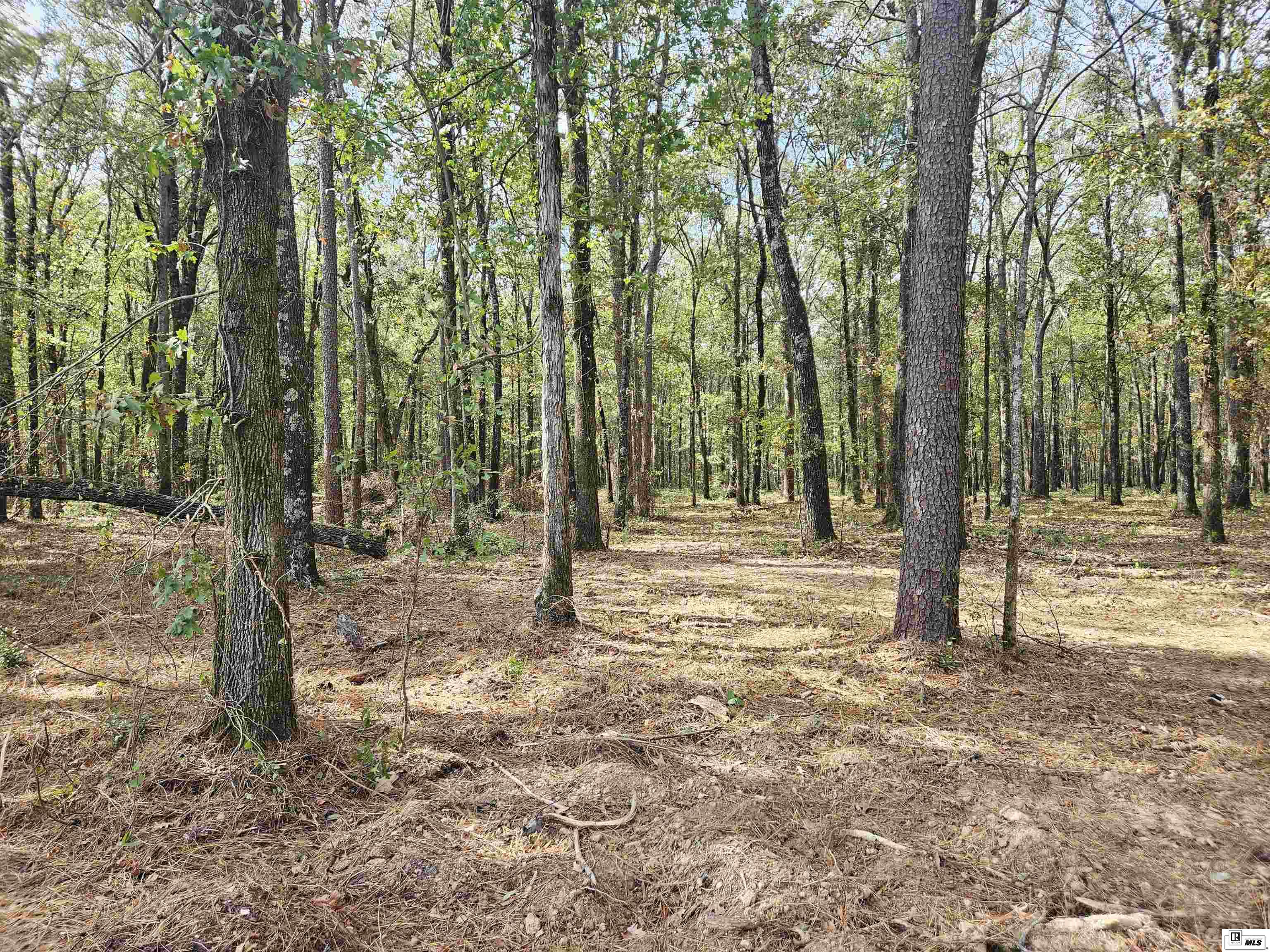 Lot 4 Hudson Drive