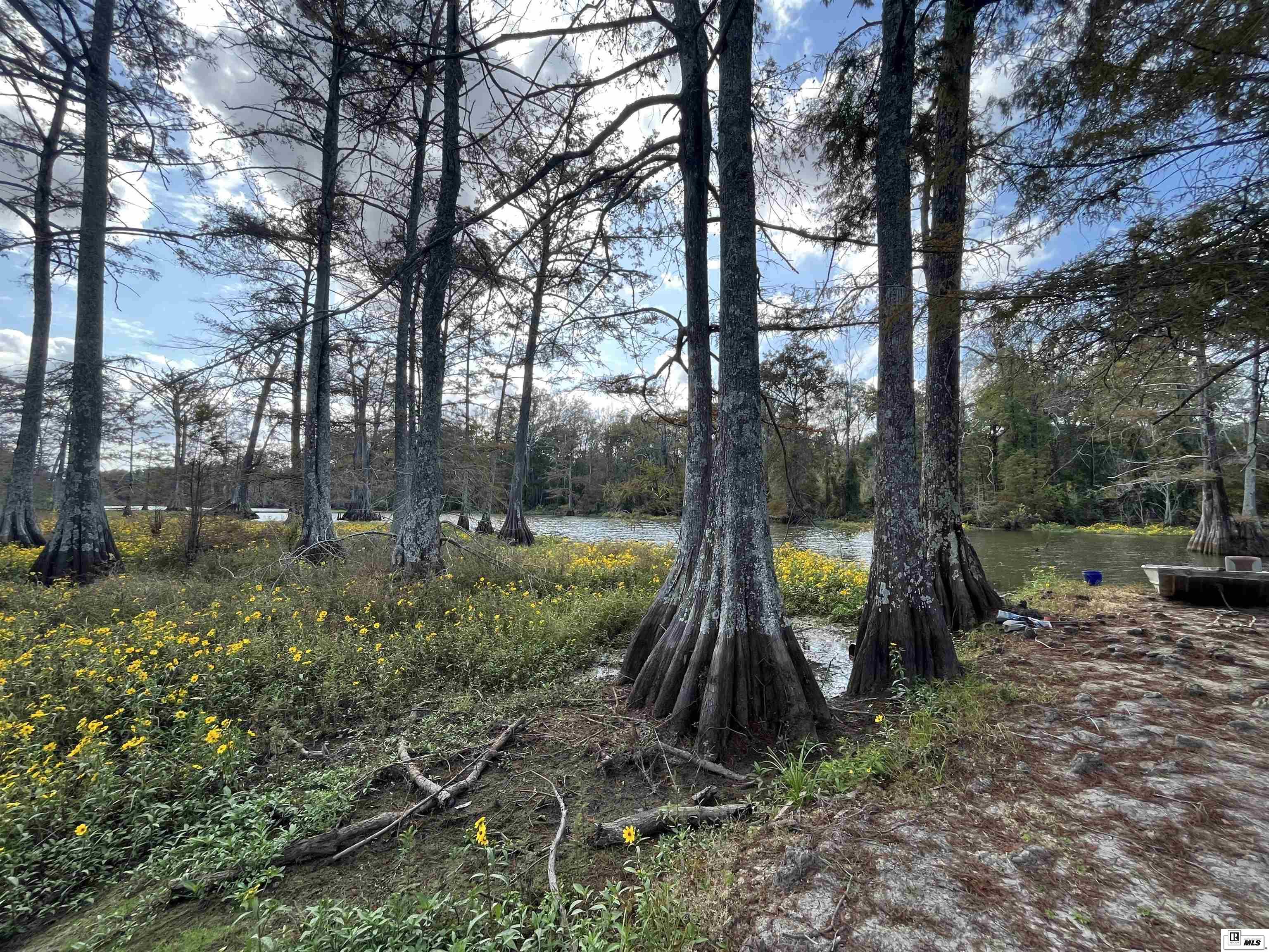 580 Elam Turner Road