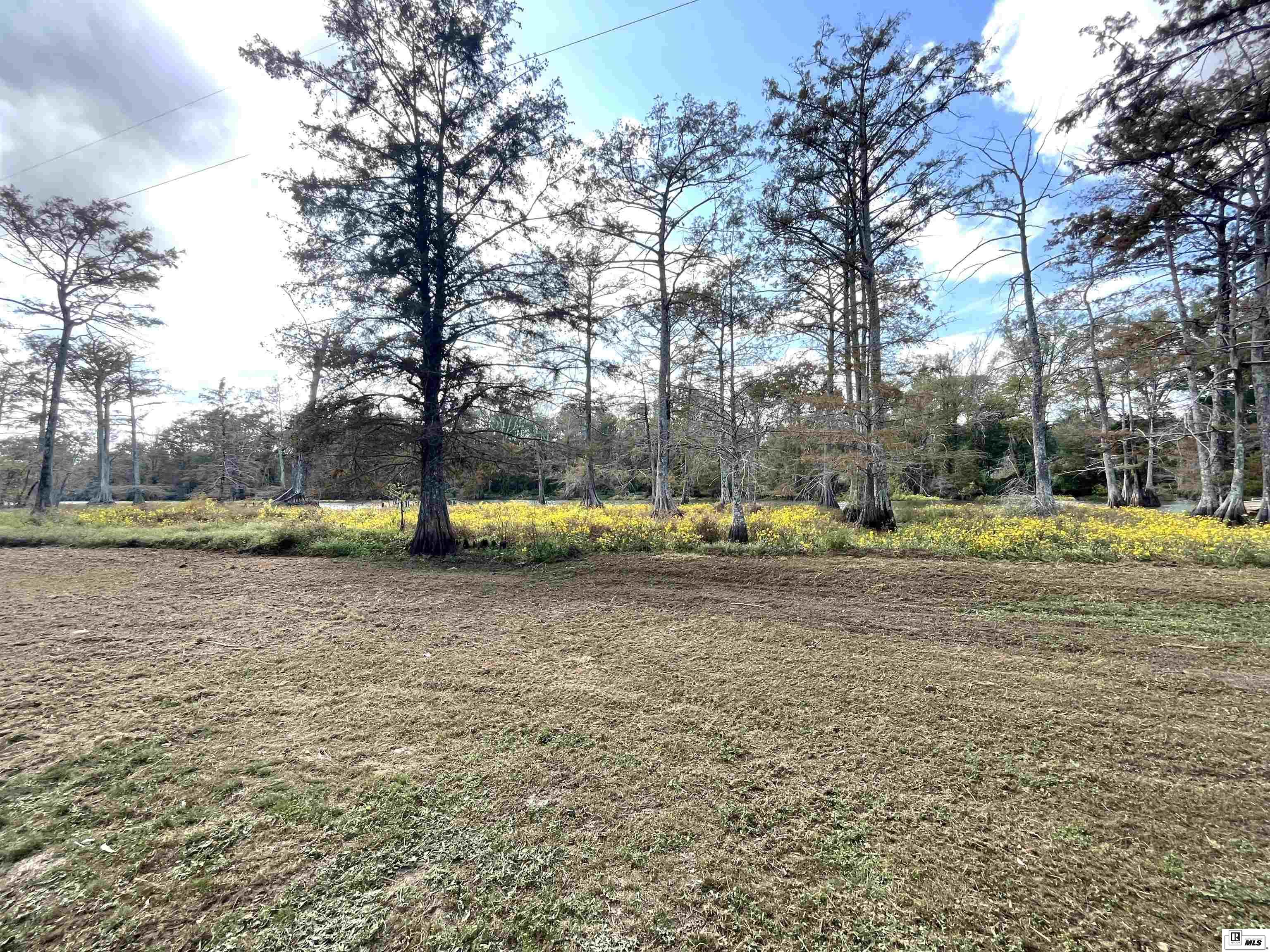 580 Elam Turner Road