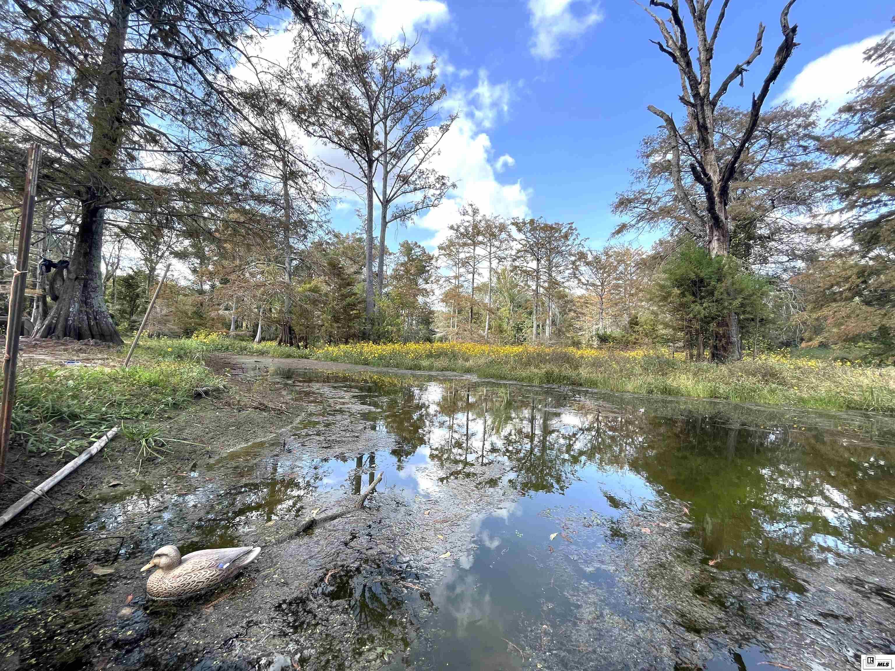 580 Elam Turner Road