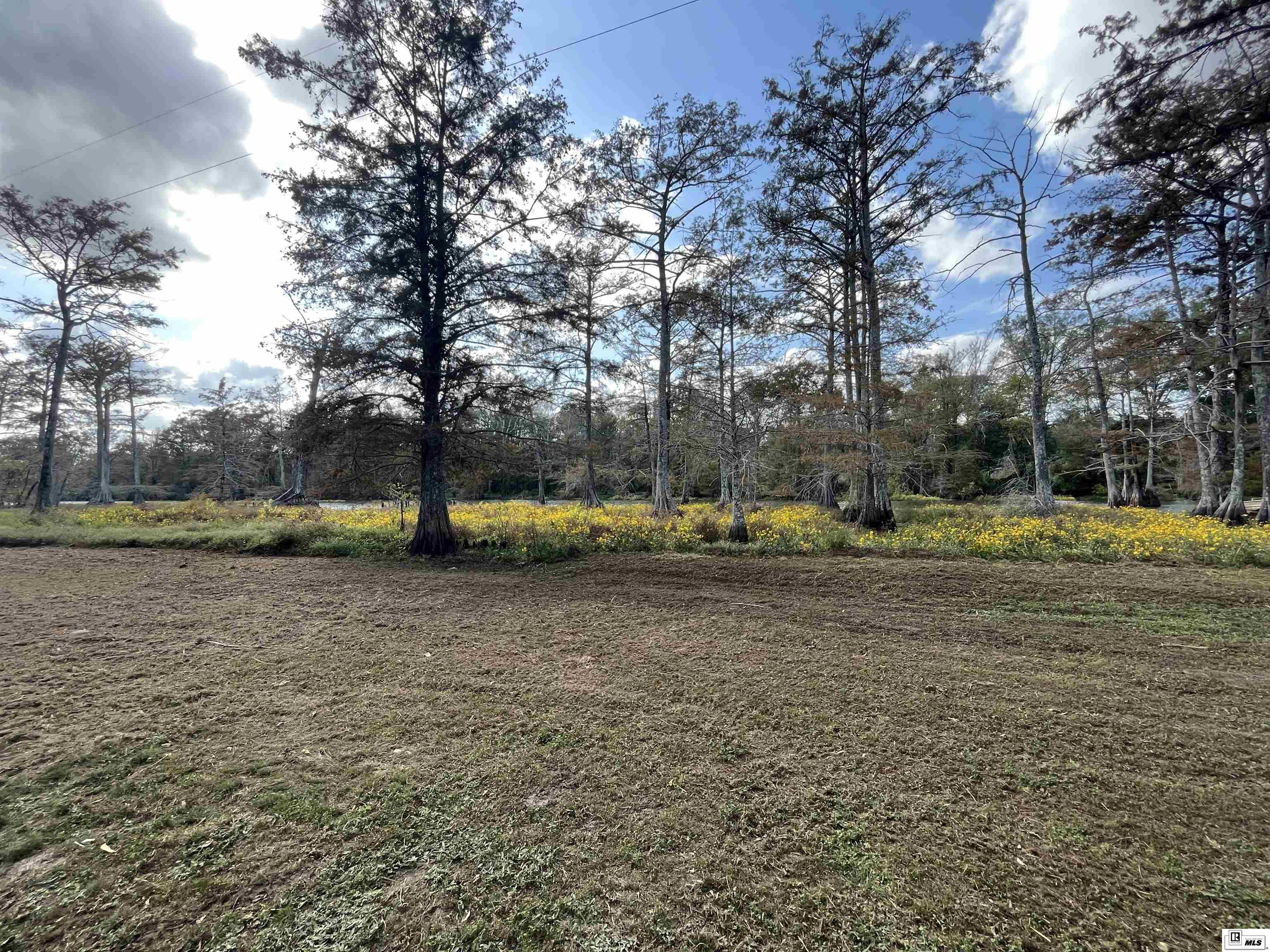 580 Elam Turner Road