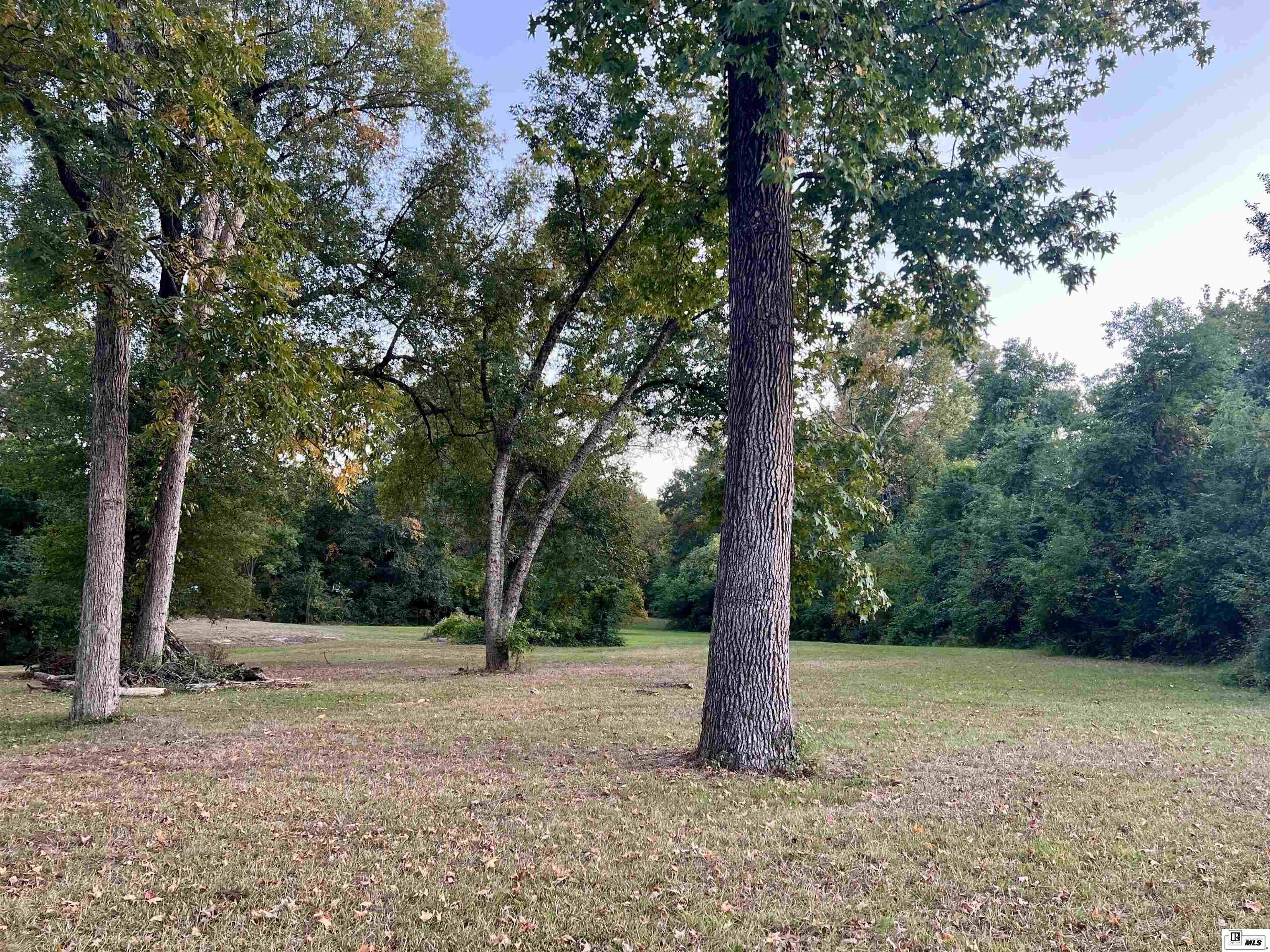 3709 Cypress Street Tract 3
