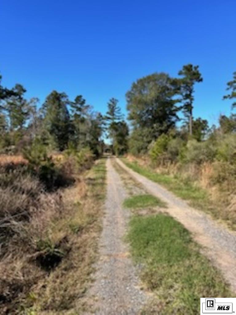 1275 Watson School Road