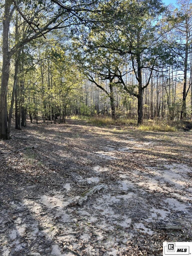 1275 Watson School Road