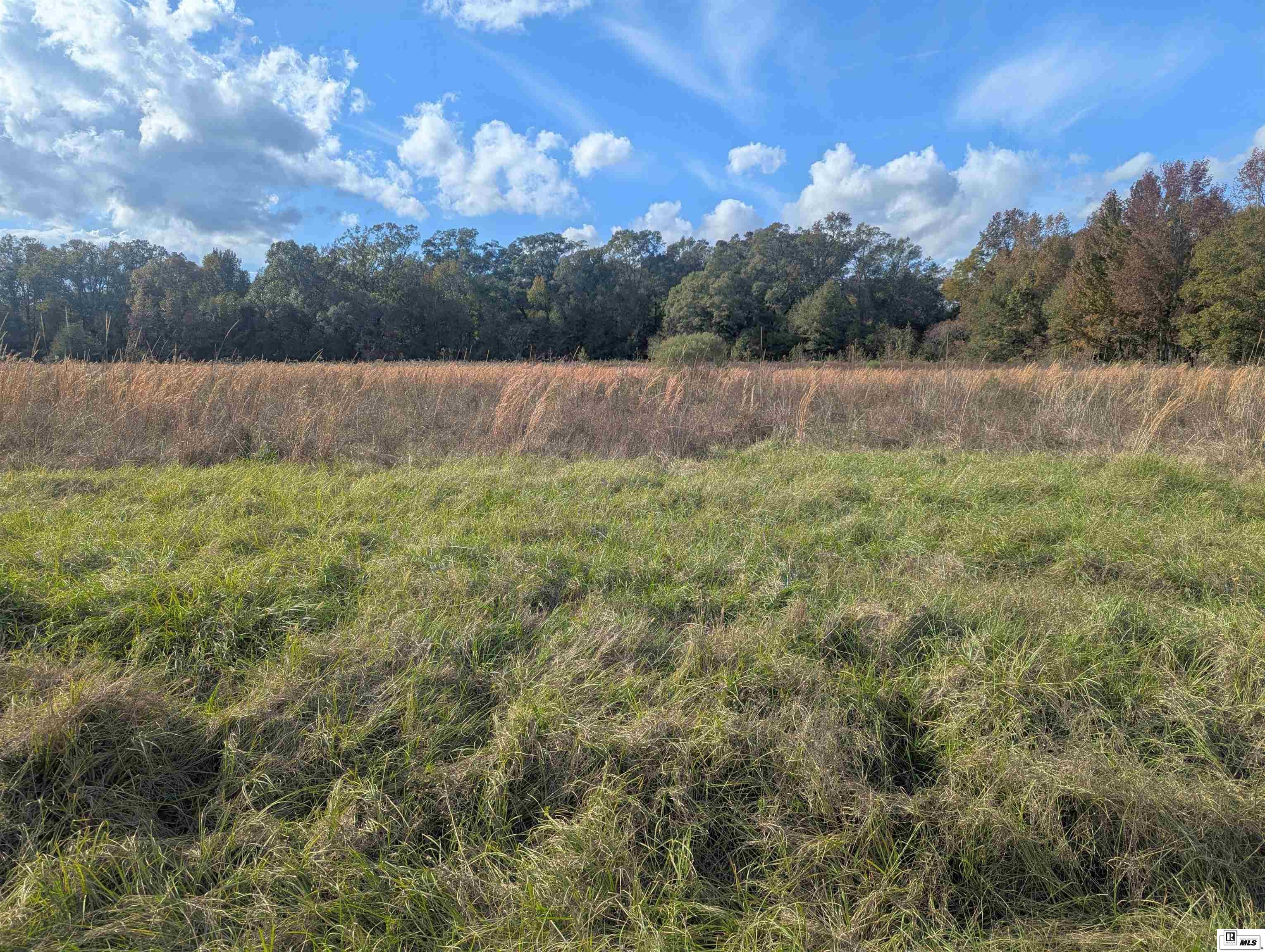 0000 Cowart Road