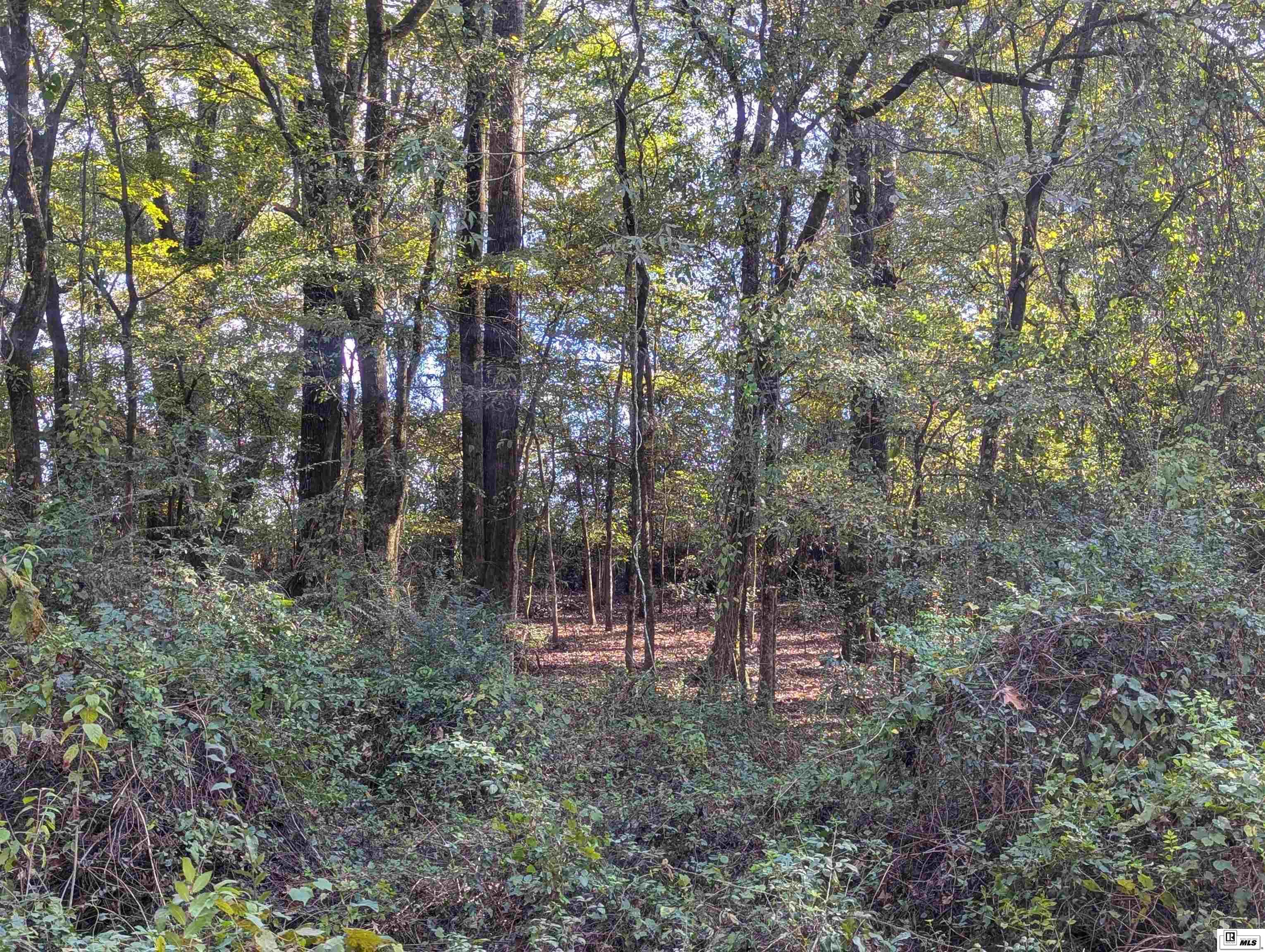 0000 Cowart Road