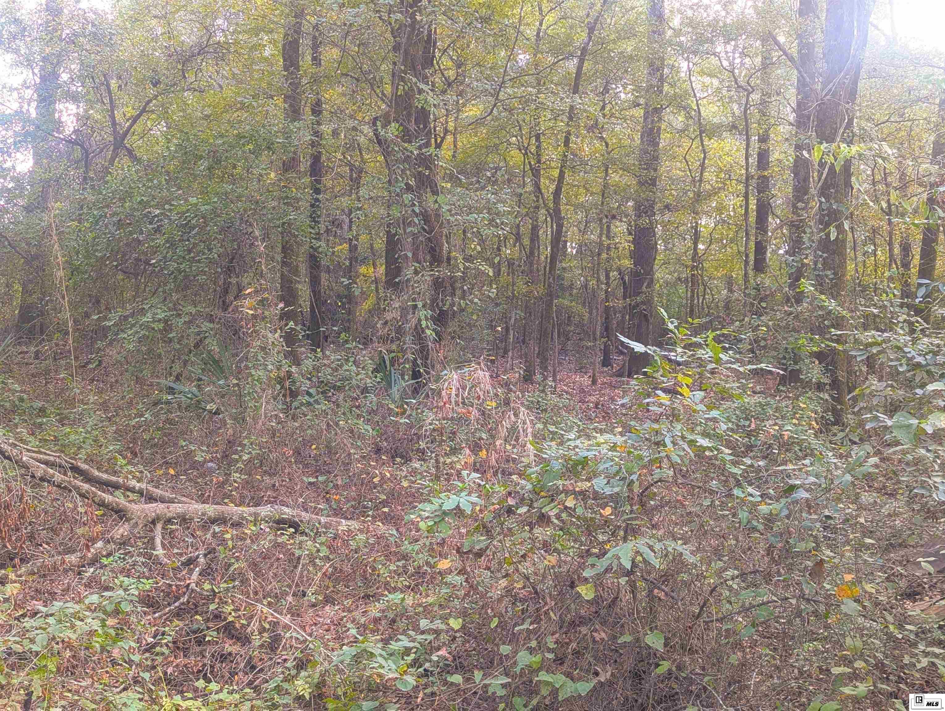 0000 Cowart Road