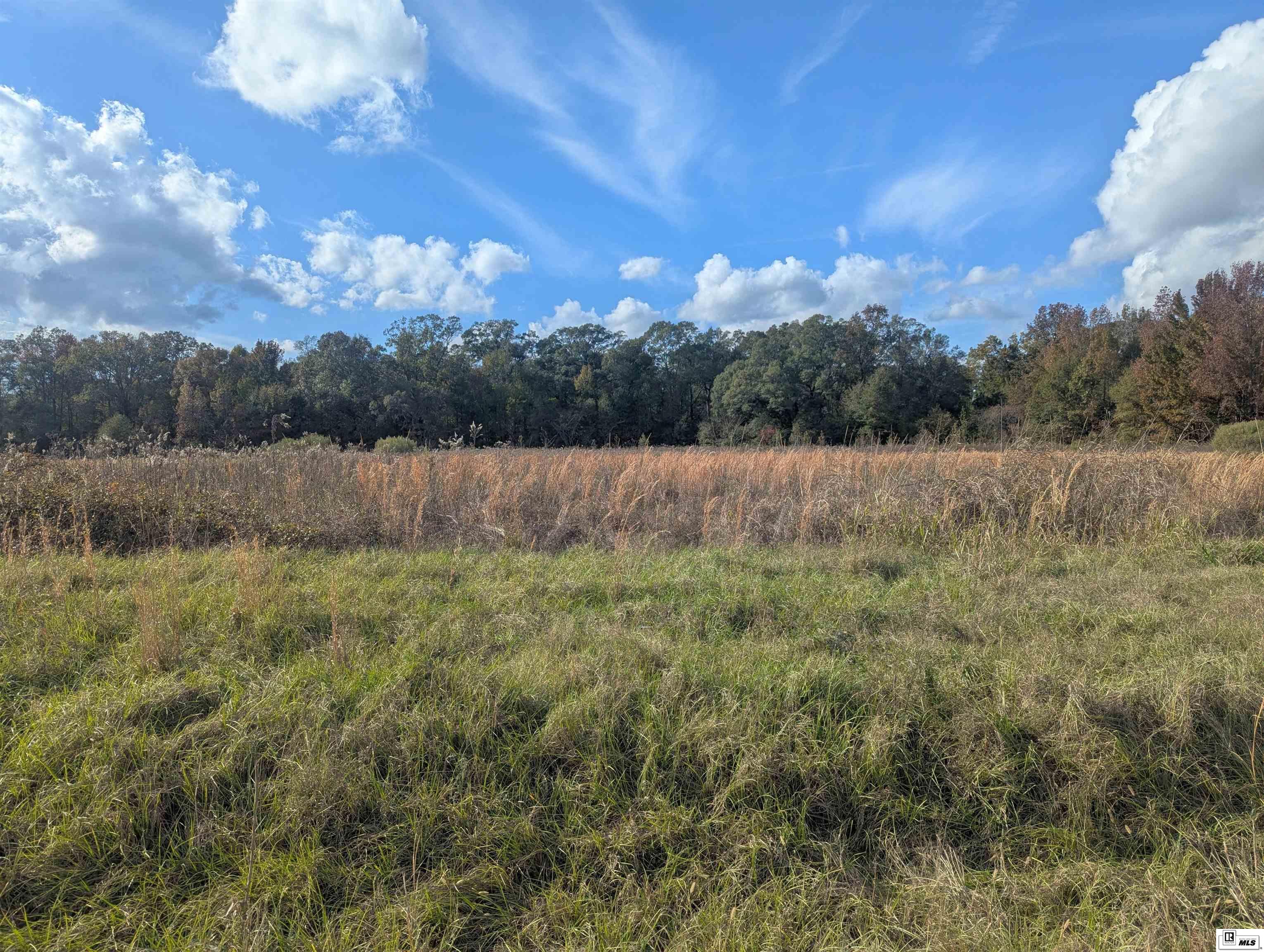 0000 Cowart Road