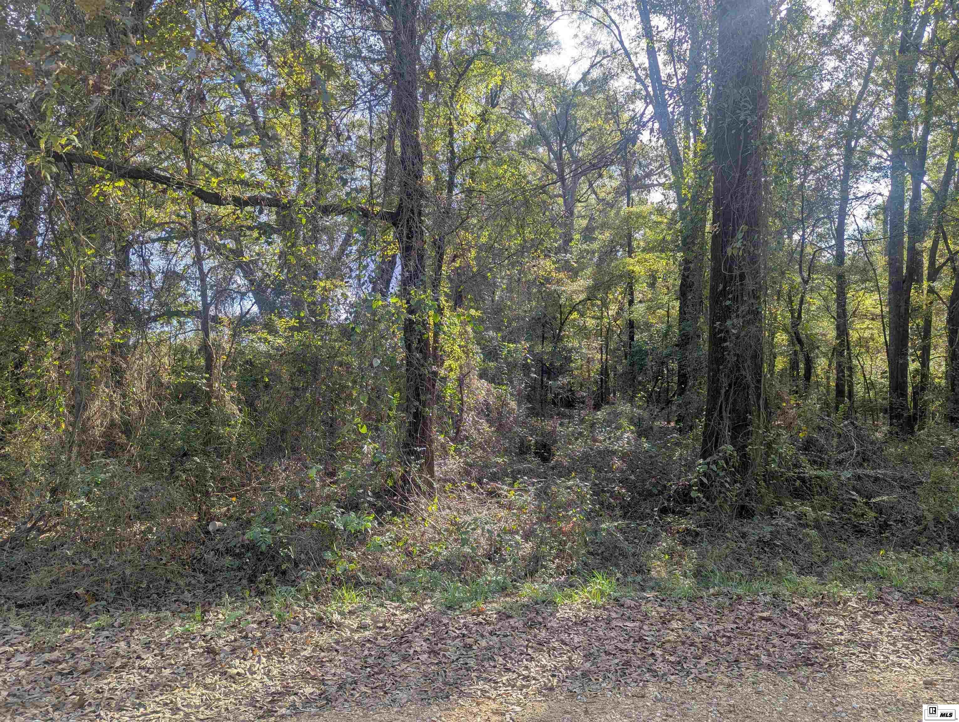 0000 Cowart Road