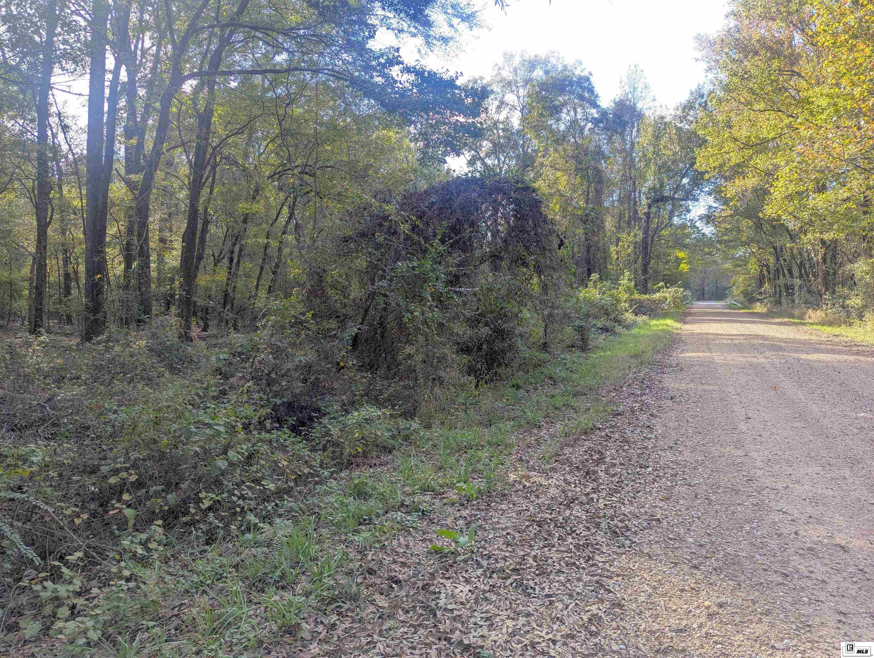 0000 Cowart Road