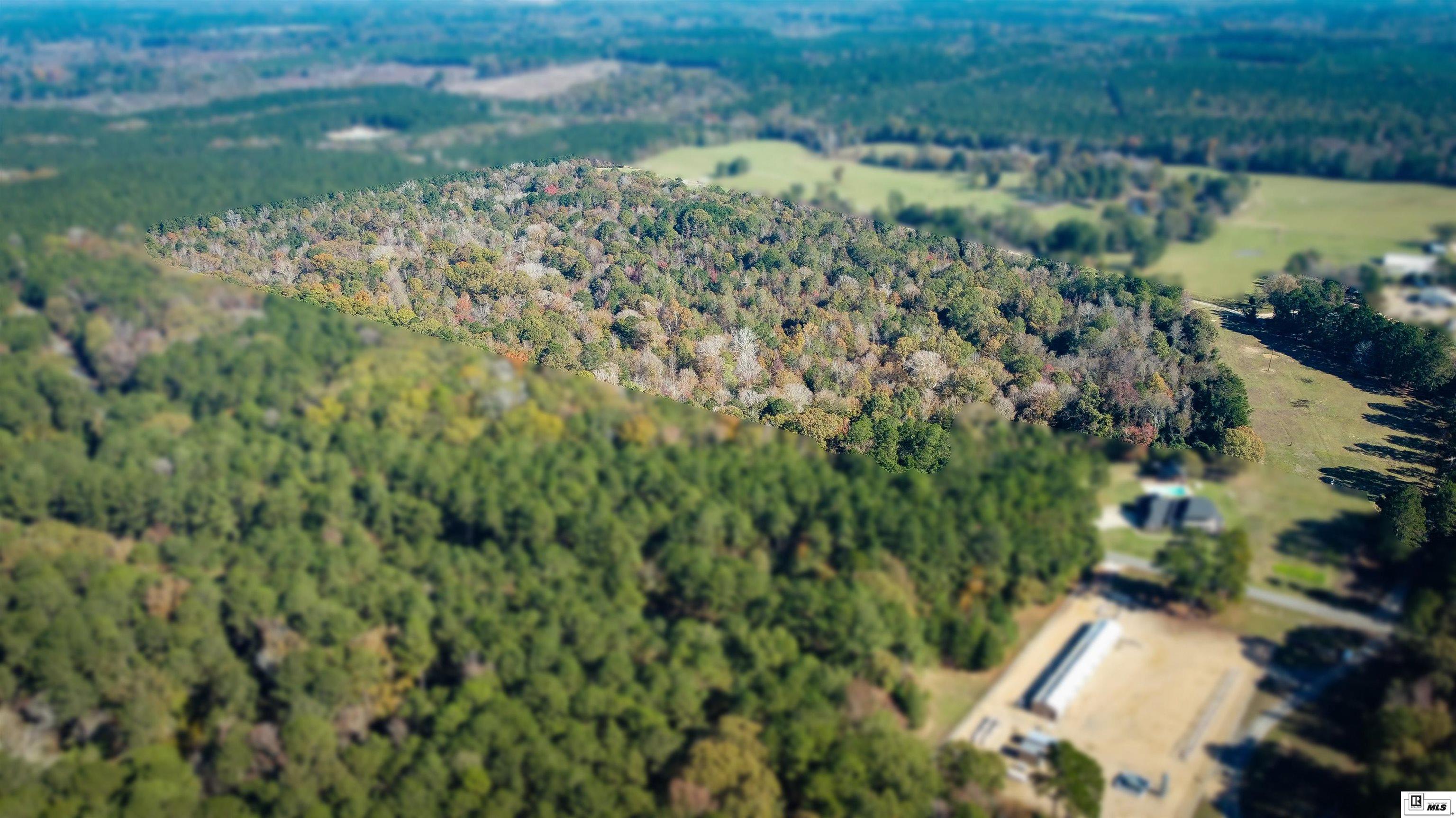 172 Sav Road