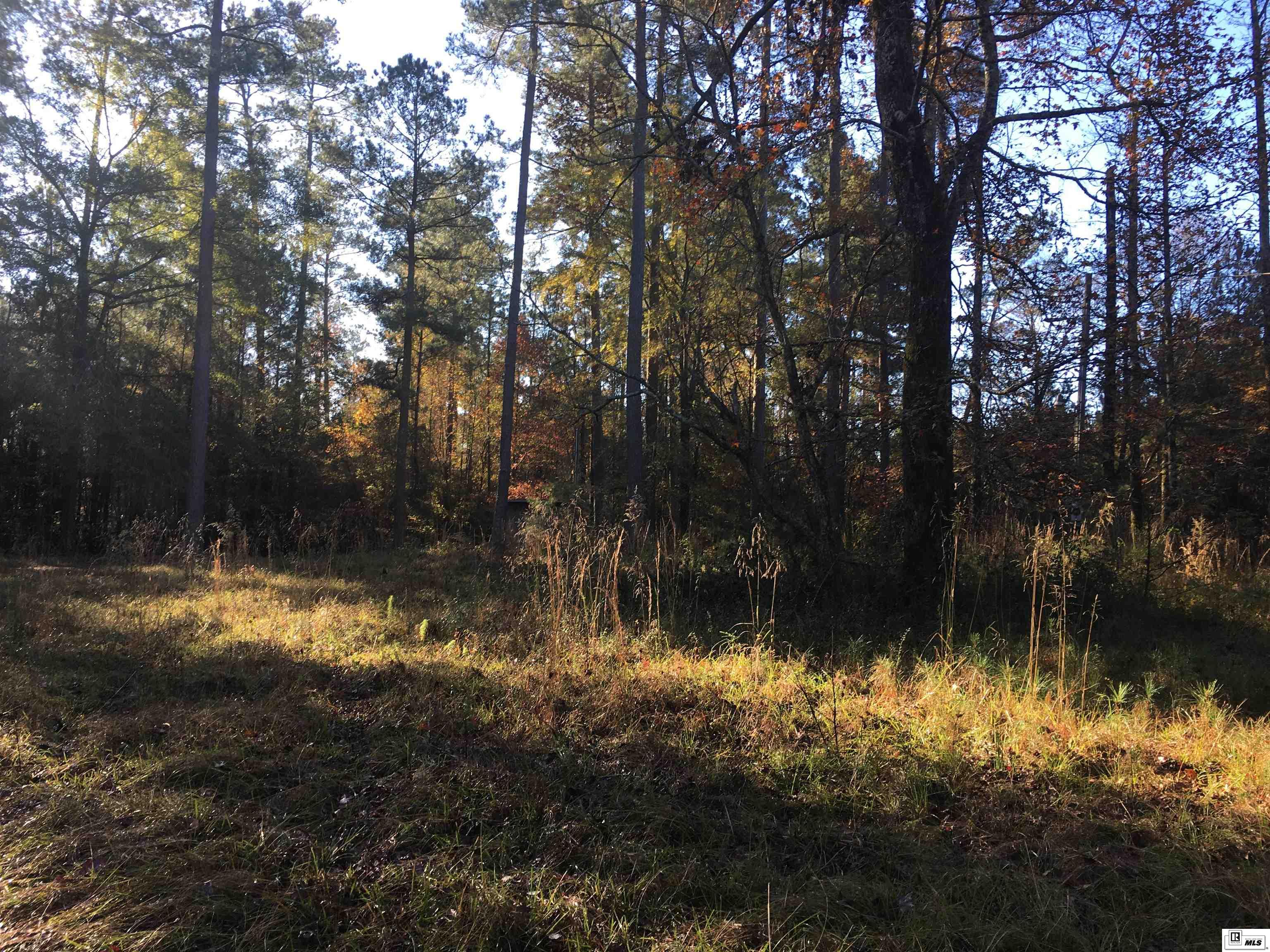 000 Highway 552 20 Acres  North And South Of Hwy 552