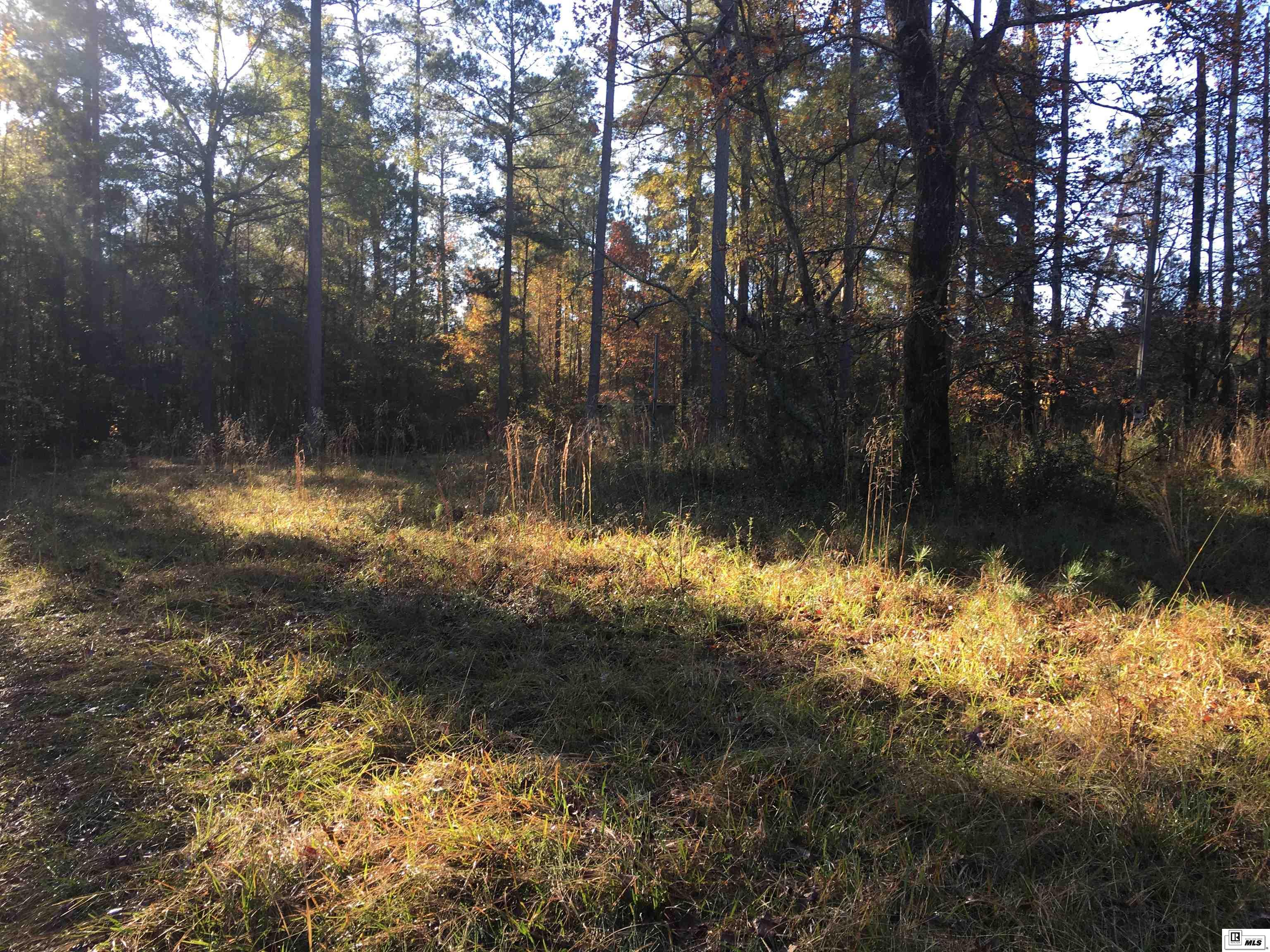 000 Highway 552 20 Acres  North And South Of Hwy 552