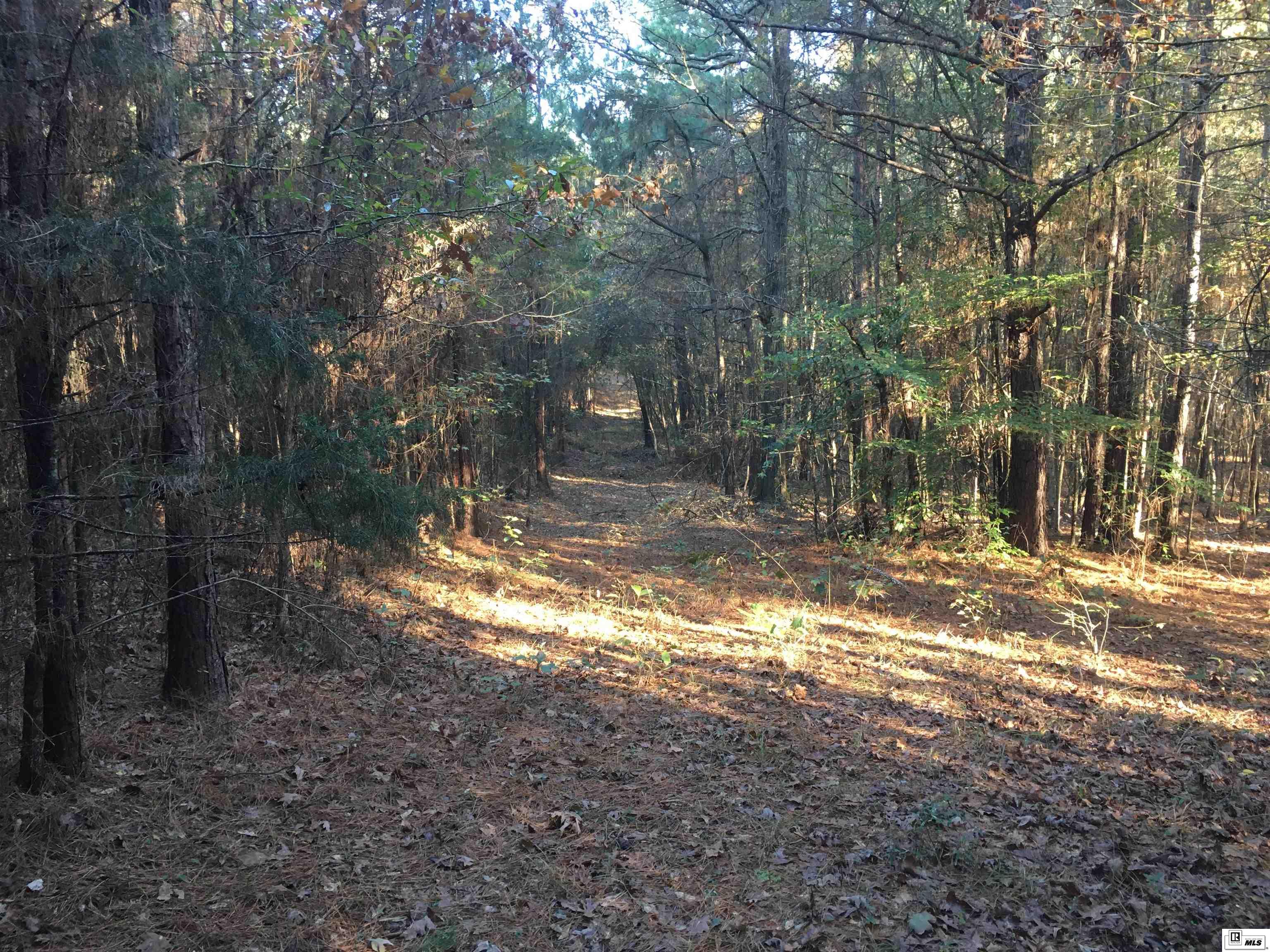 000 Highway 552 20 Acres  North And South Of Hwy 552