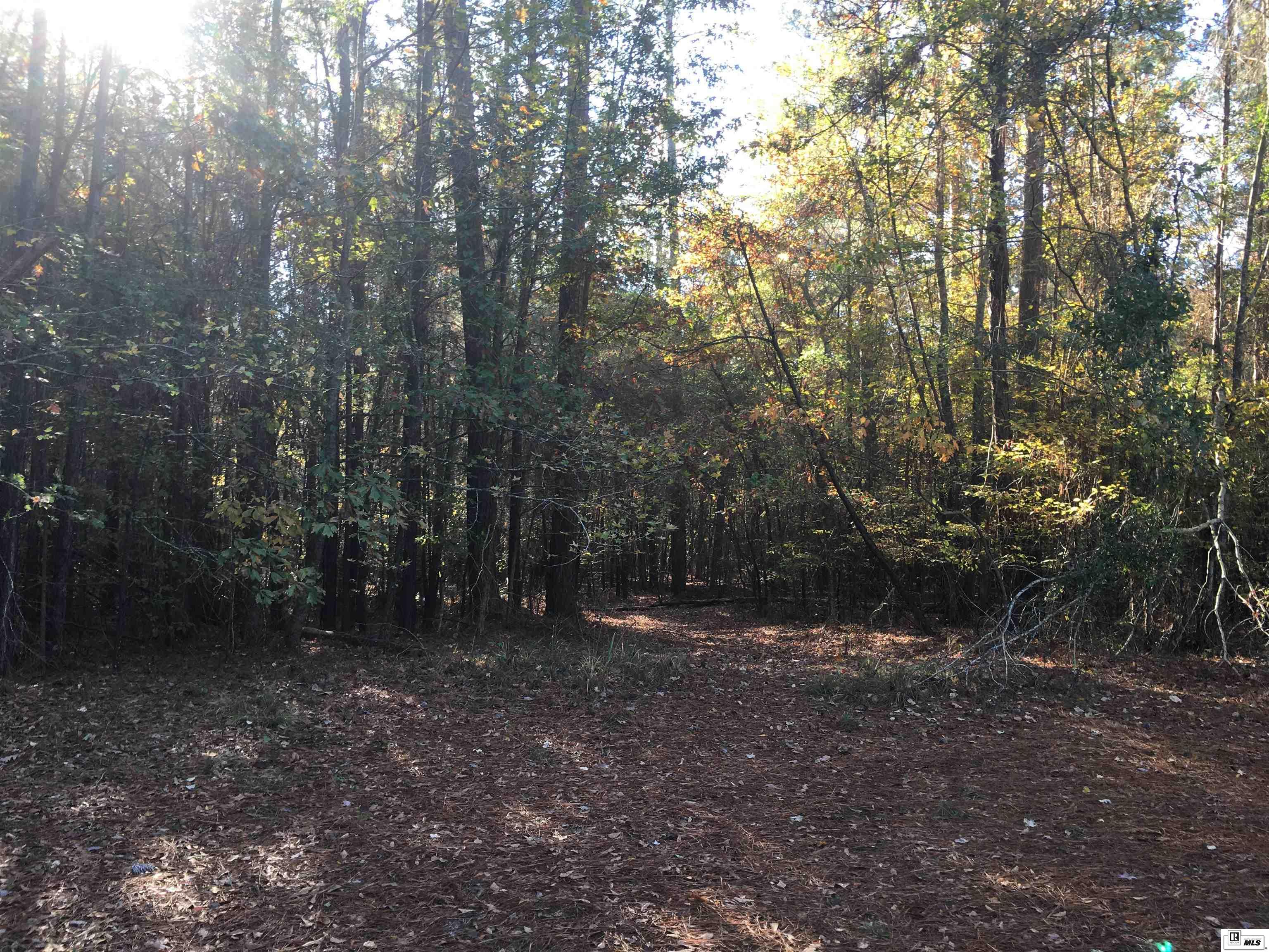 000 Highway 552 20 Acres  North And South Of Hwy 552