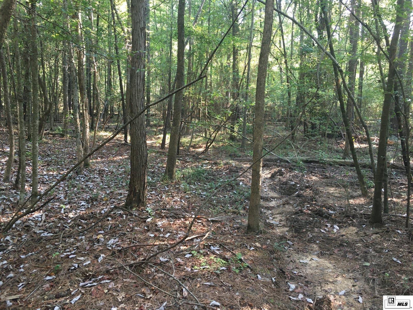000 Highway 552 20 Acres  North And South Of Hwy 552