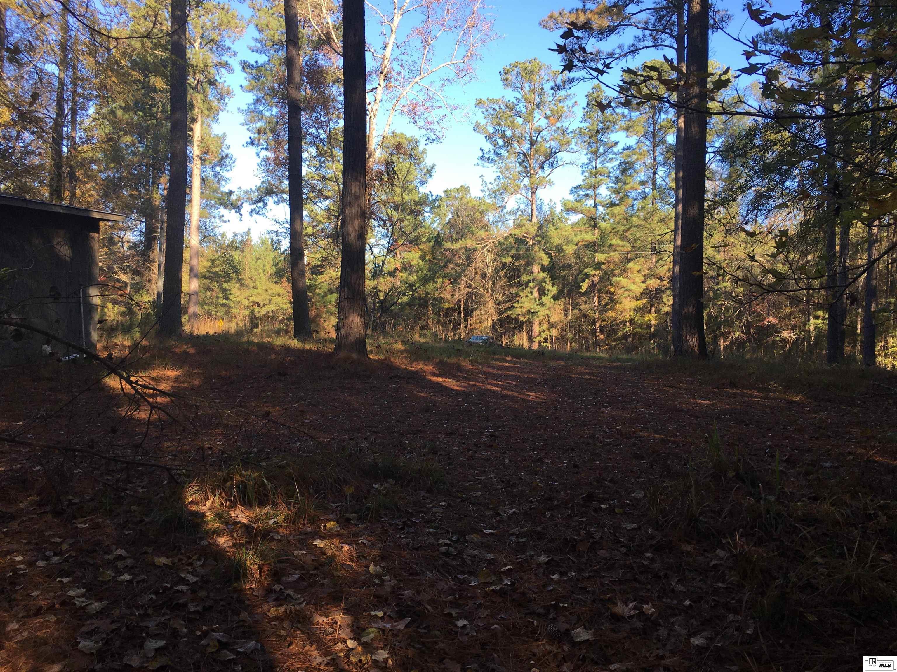 000 Highway 552 20 Acres  North And South Of Hwy 552