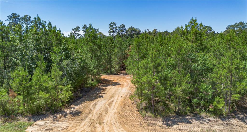 Homes for sale in Pitkin, LA | Lot 1 Ten Mile Road, Pitkin, LA 70656 | MLS# CN2457827