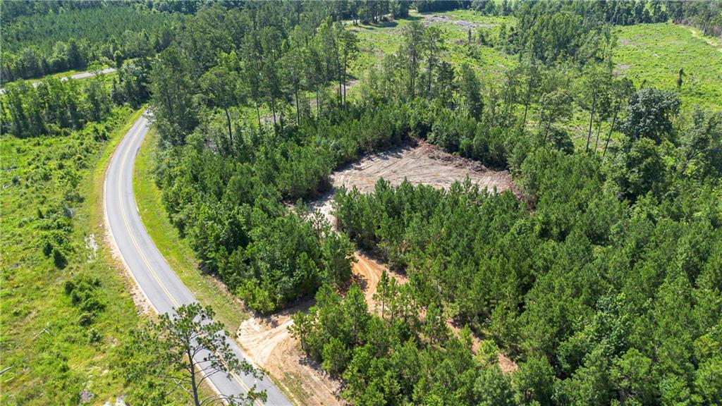 Homes for sale in Pitkin, LA | Lot 1 Ten Mile Road, Pitkin, LA 70656 | MLS# CN2457827
