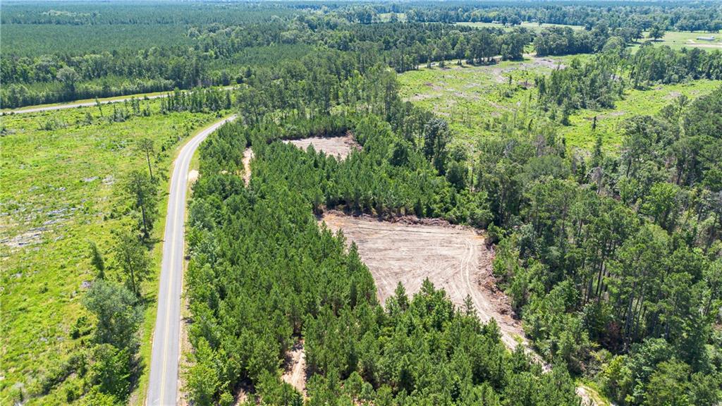 Homes for sale in Pitkin, LA | Lot 1 Ten Mile Road, Pitkin, LA 70656 | MLS# CN2457827