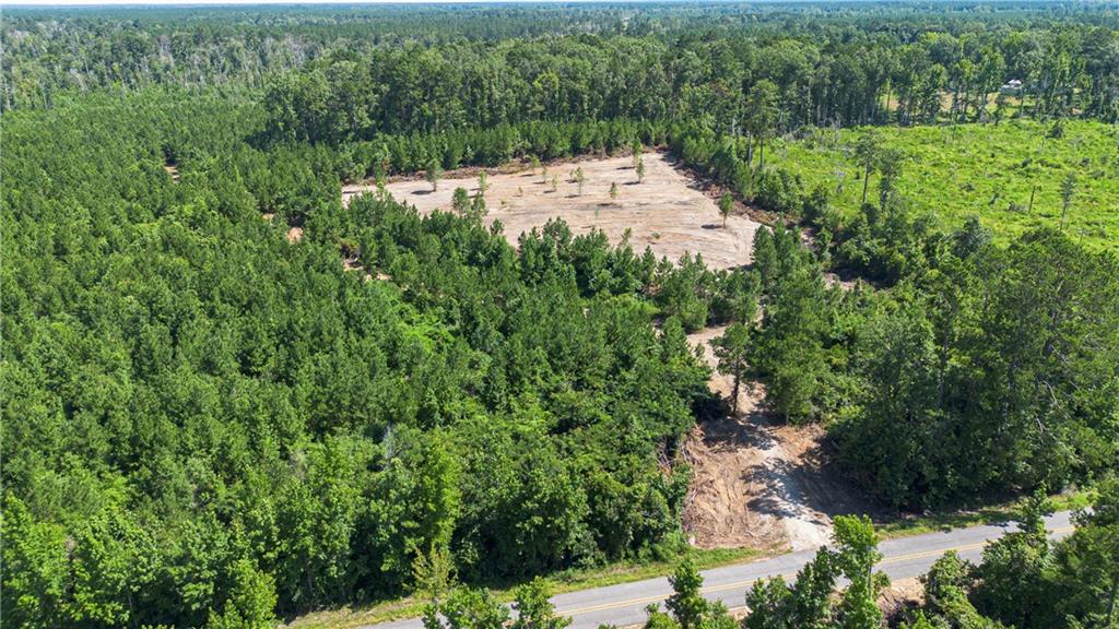 Homes for sale in Pitkin, LA | Lot 3 Ten Mile Road, Pitkin, LA 70656 | MLS# CN2458139