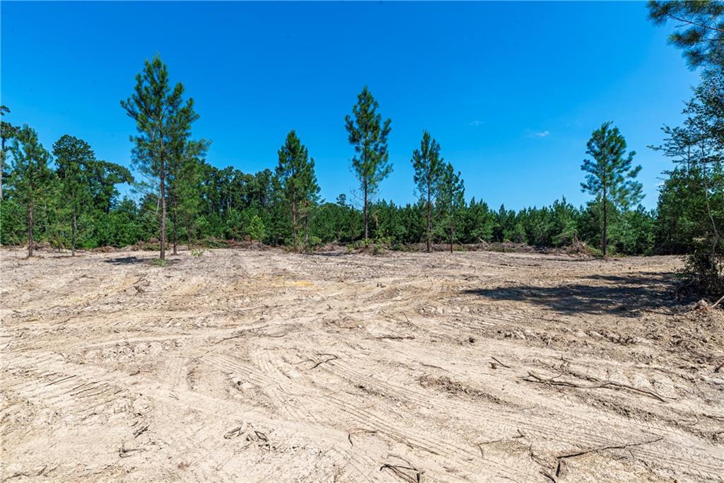Homes for sale in Pitkin, LA | Lot 6 Ten Mile Road, Pitkin, LA 70656 | MLS# CN2458290