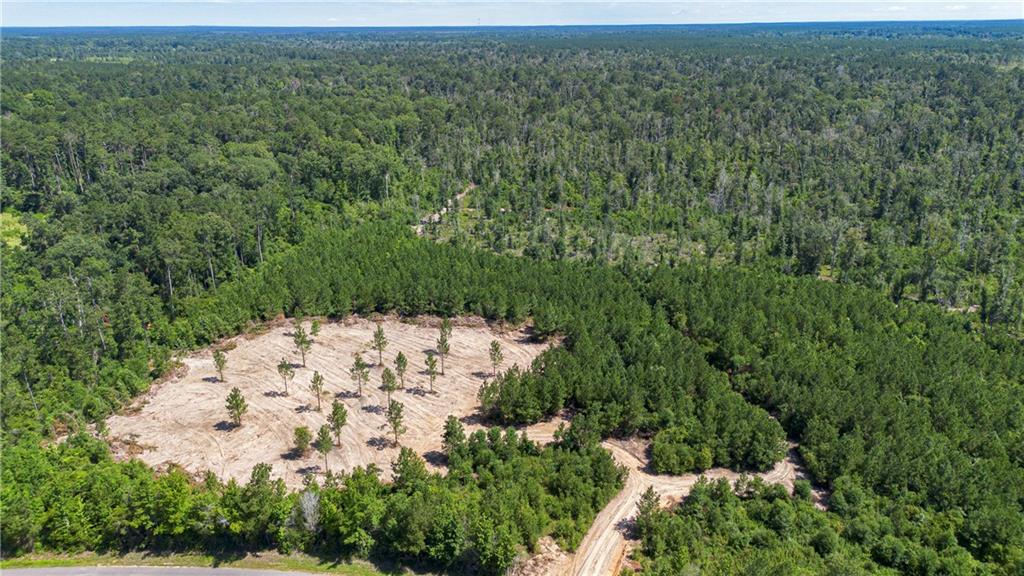 Homes for sale in Pitkin, LA | Lot 6 Ten Mile Road, Pitkin, LA 70656 | MLS# CN2458290