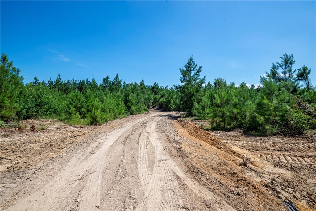 Homes for sale in Pitkin, LA | Lot 6 Ten Mile Road, Pitkin, LA 70656 | MLS# CN2458290